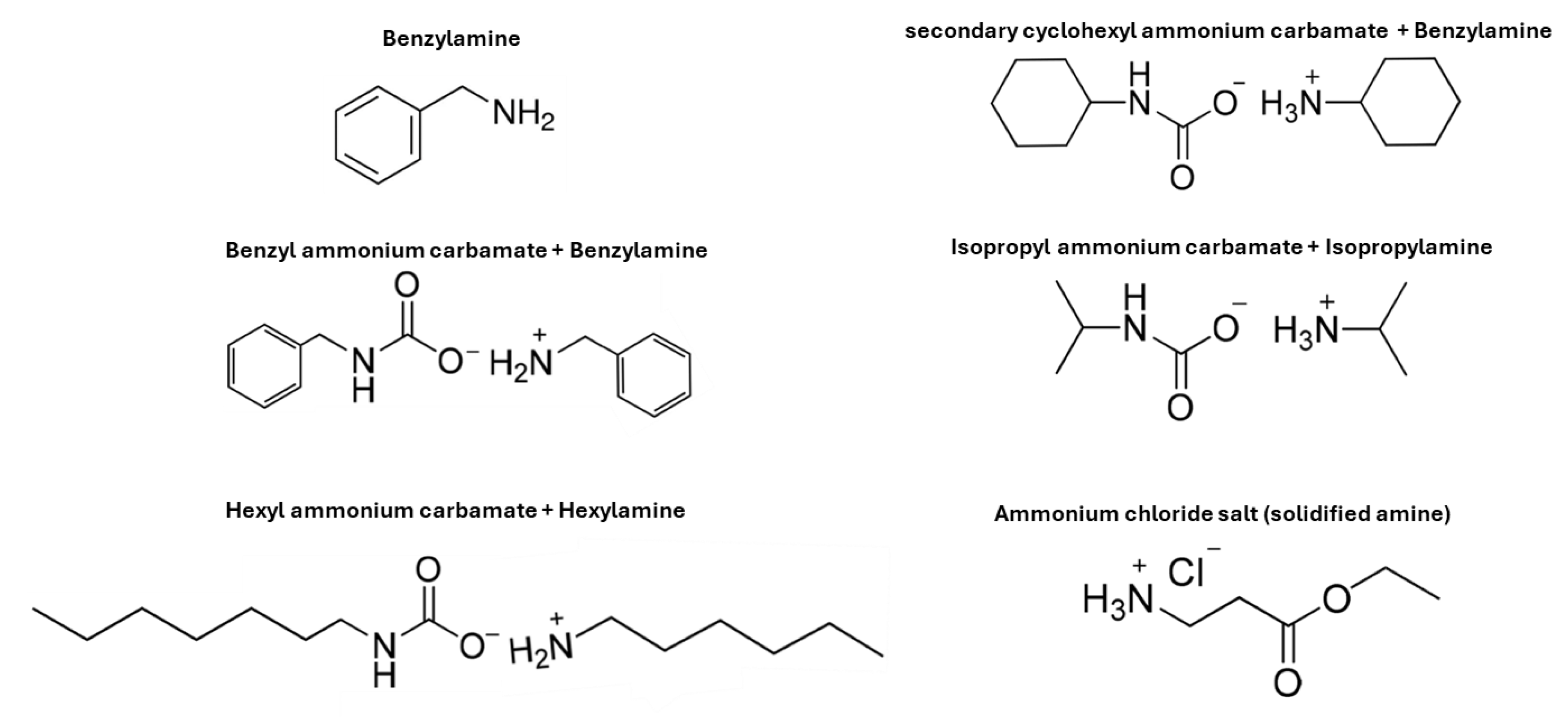Molecules 29 00667 g007