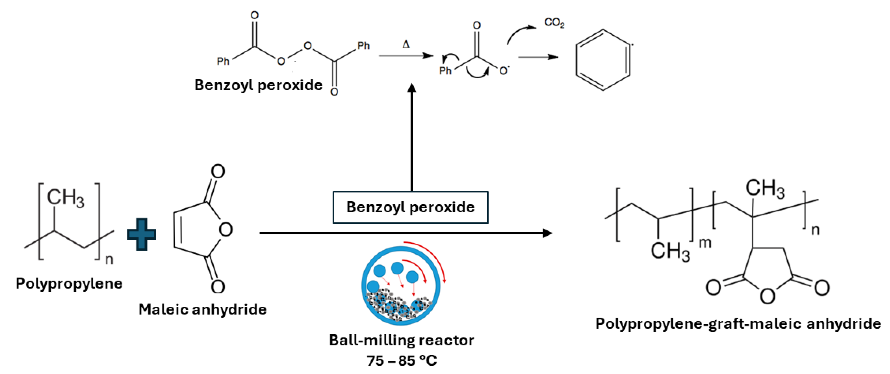Molecules 29 00667 g008