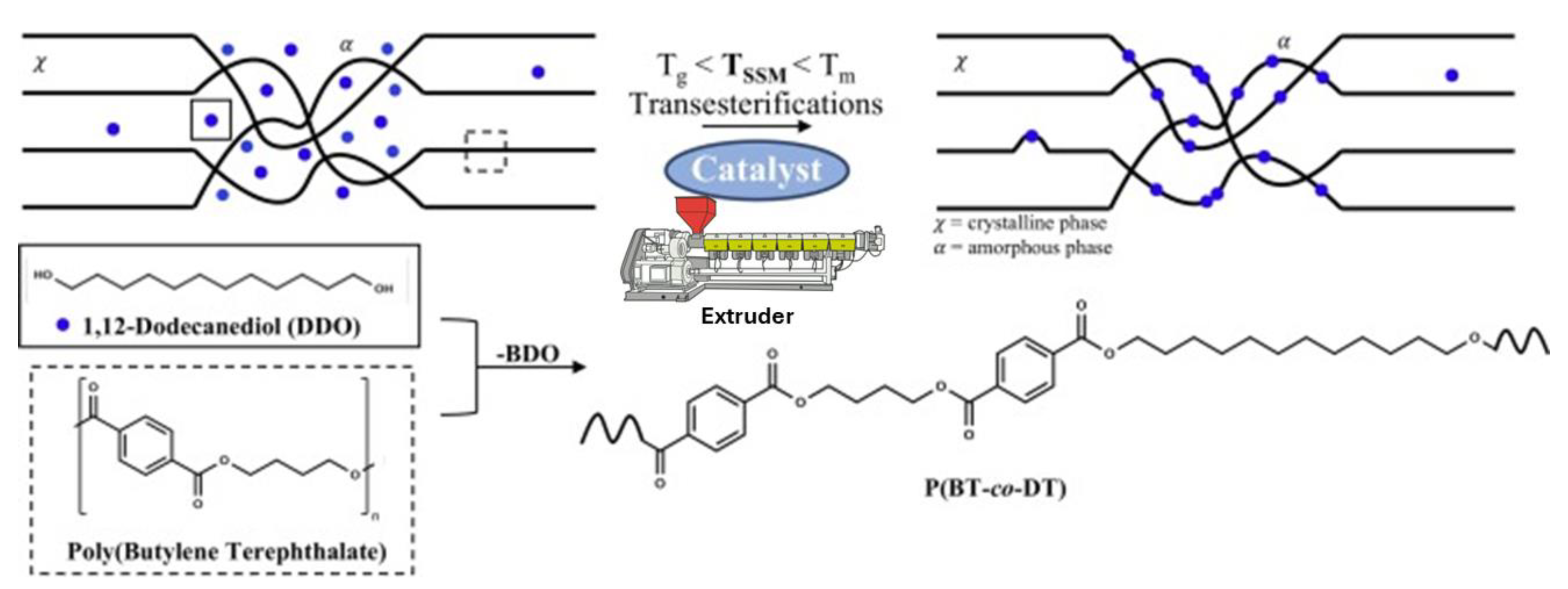 Molecules 29 00667 g009