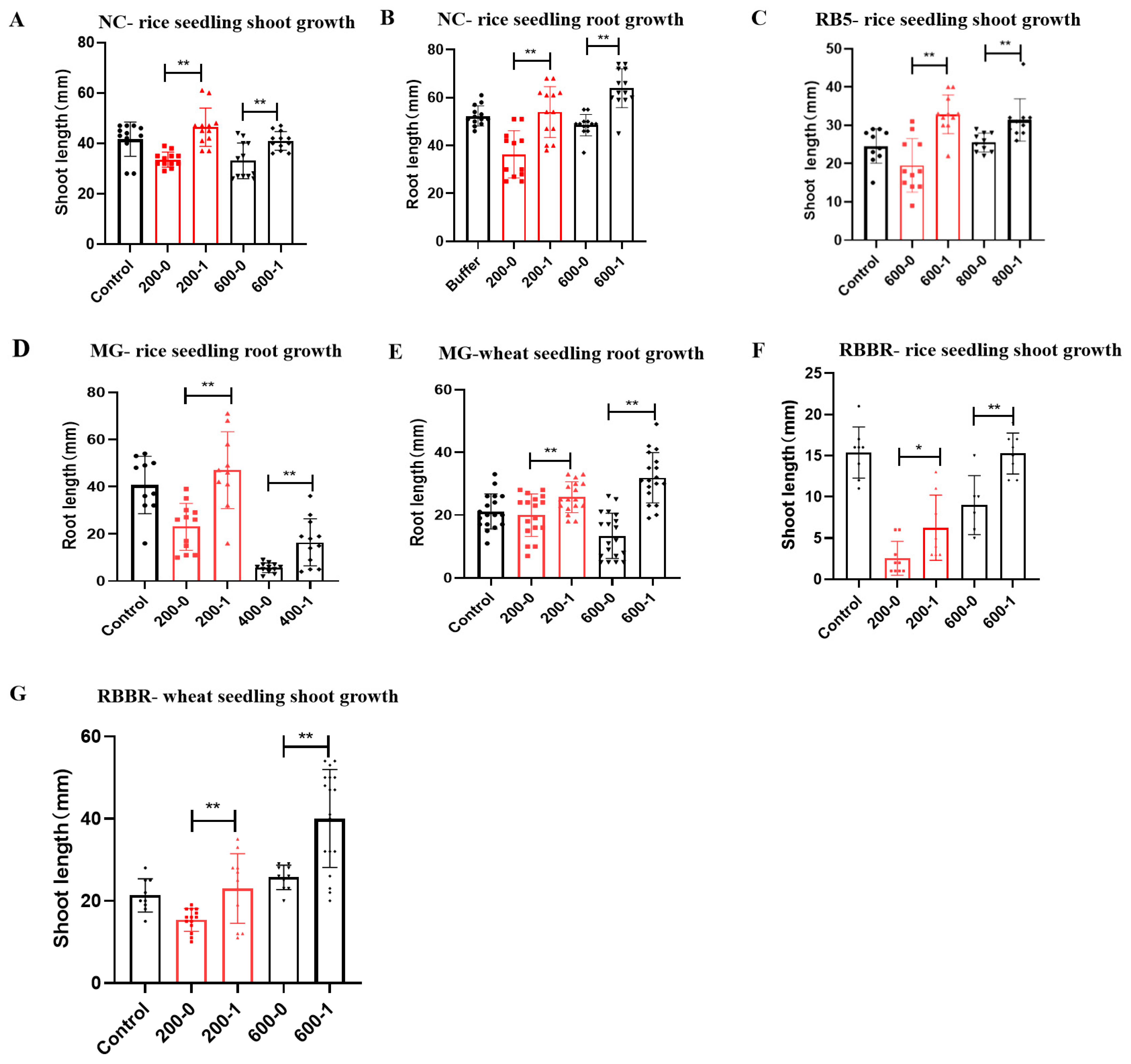Molecules 29 00669 g008
