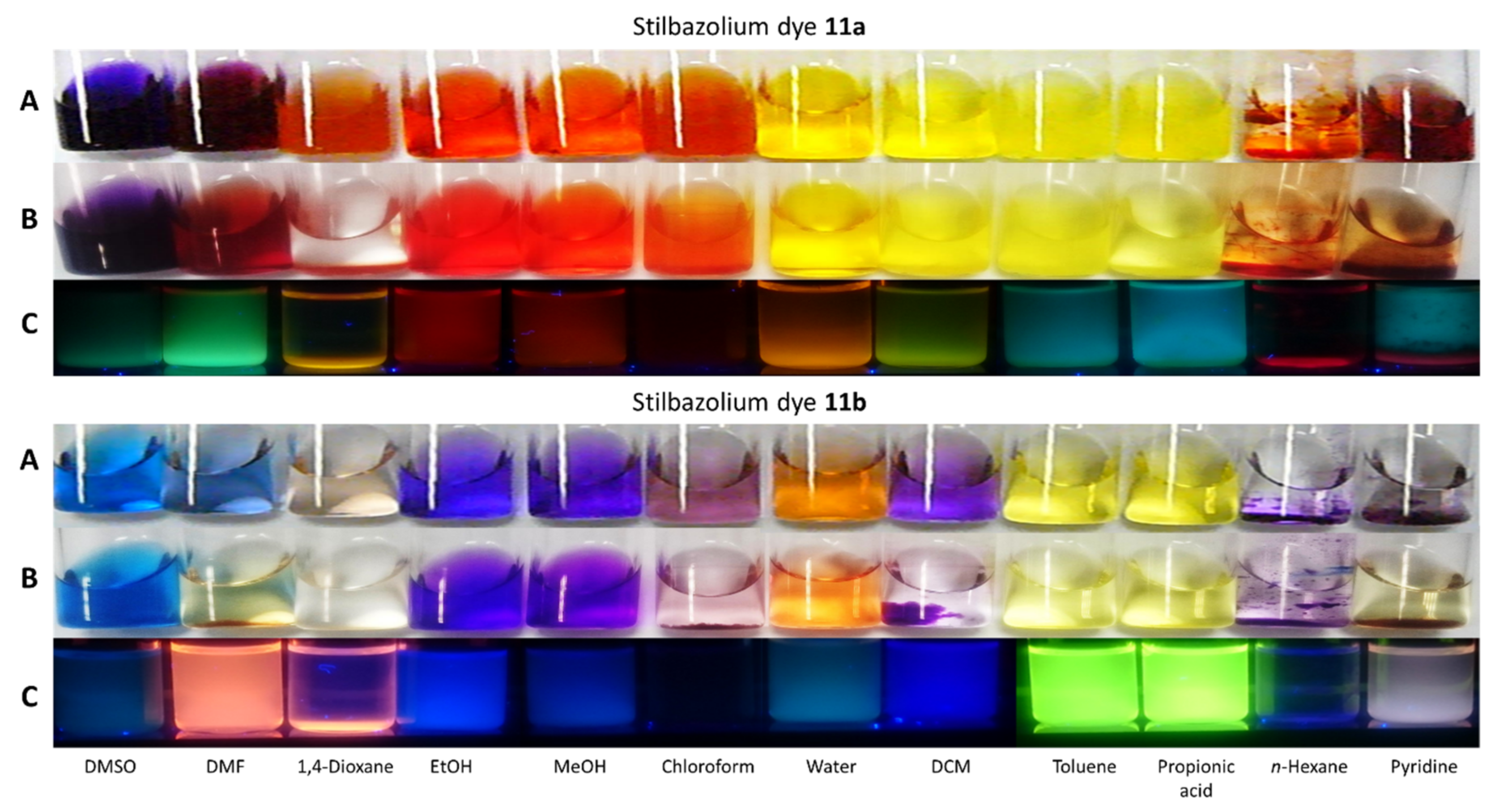 Molecules 29 00673 g004