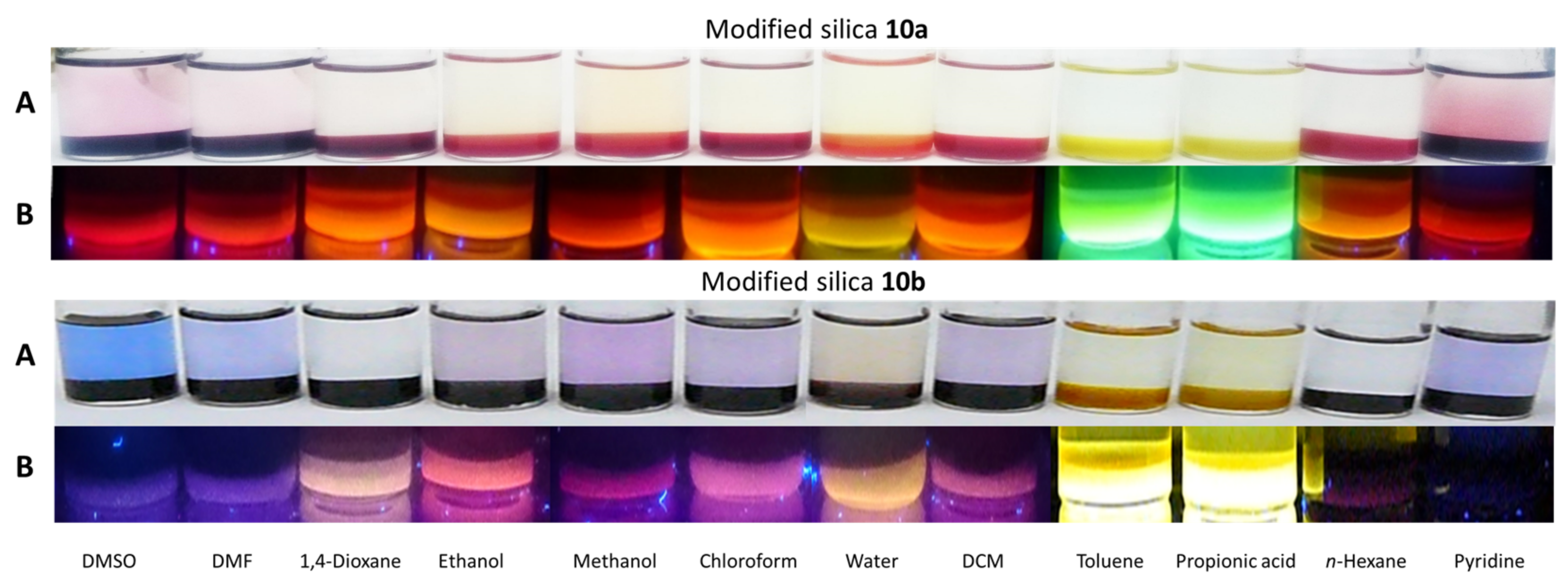 Molecules 29 00673 g005