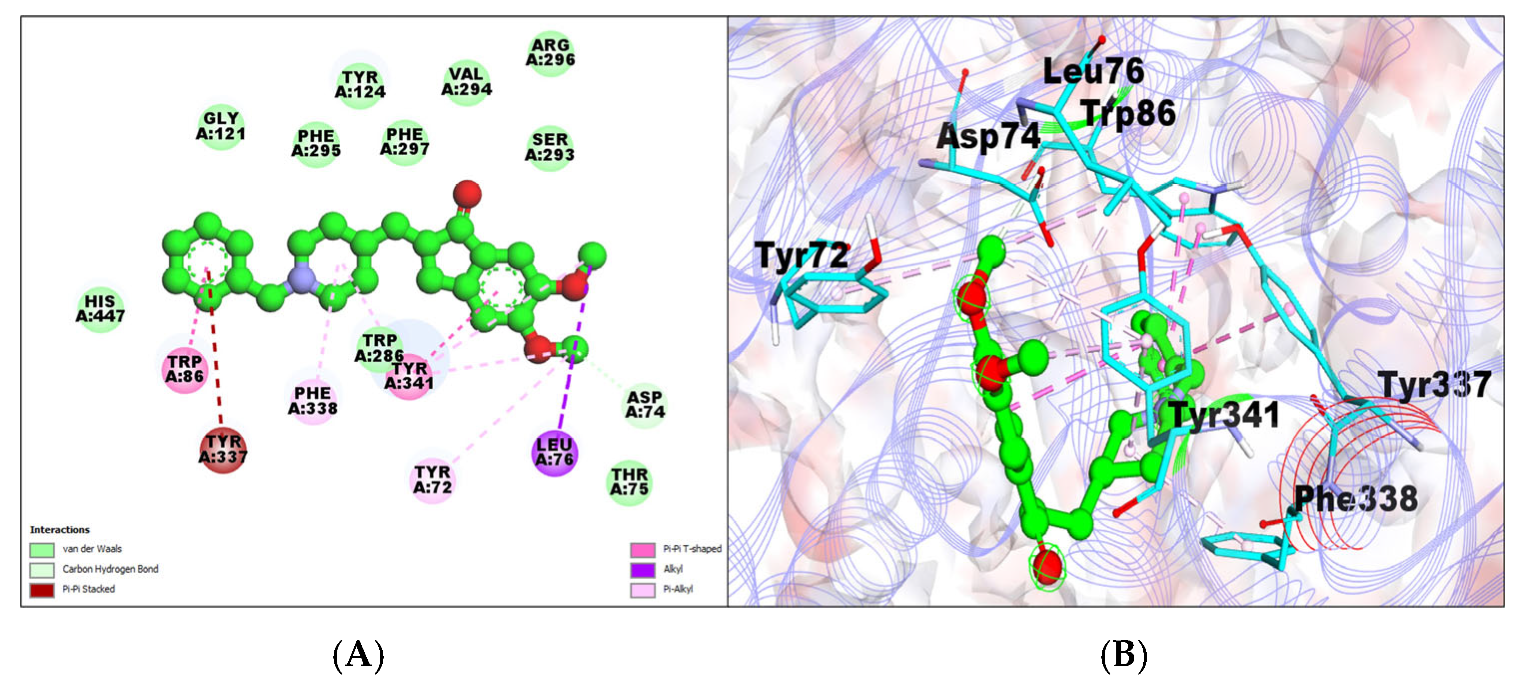Molecules 29 00674 g001