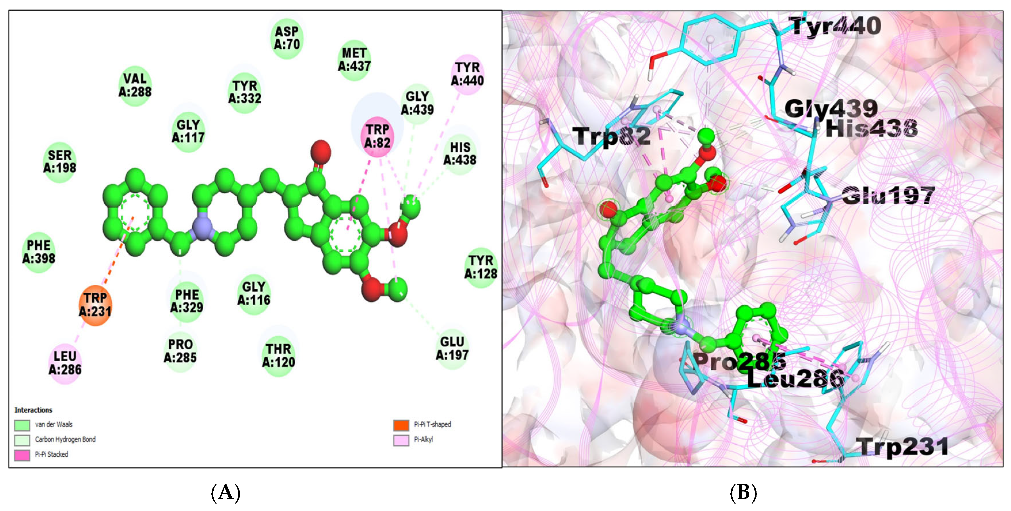 Molecules 29 00674 g004
