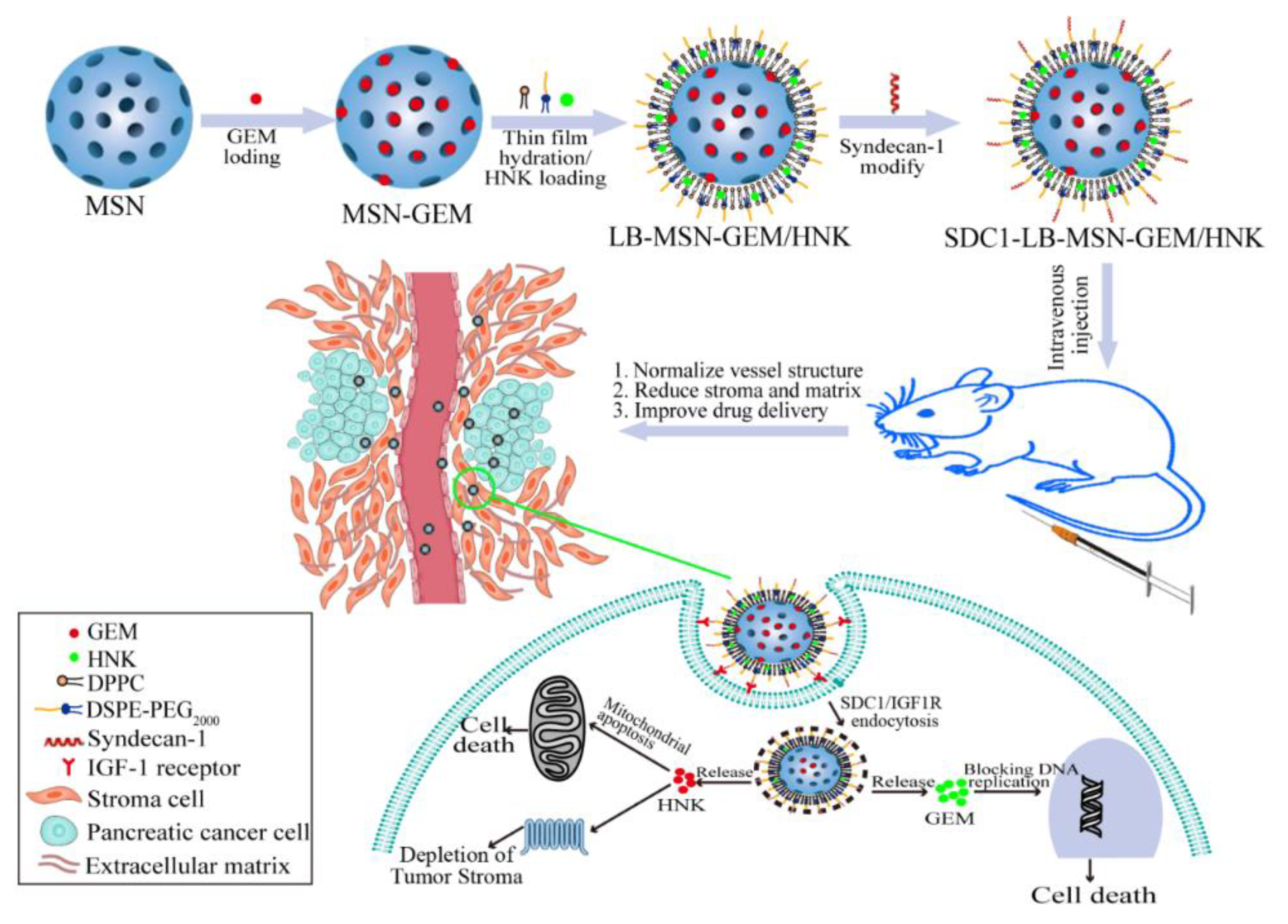 Molecules 29 00675 sch001