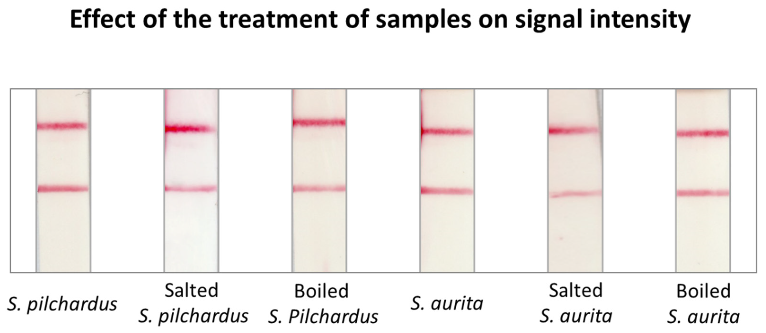 Molecules 29 00677 g002