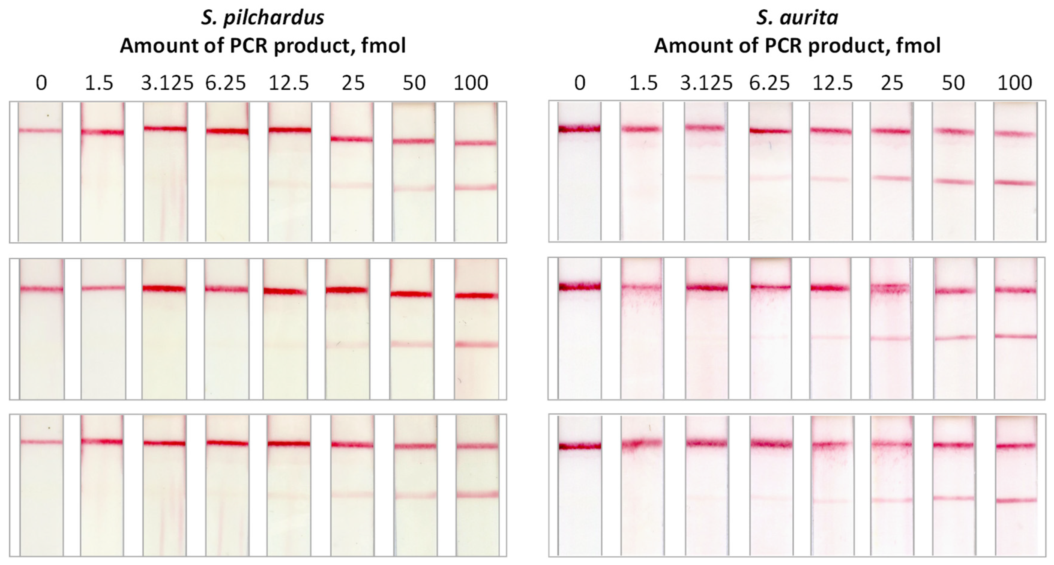 Molecules 29 00677 g003