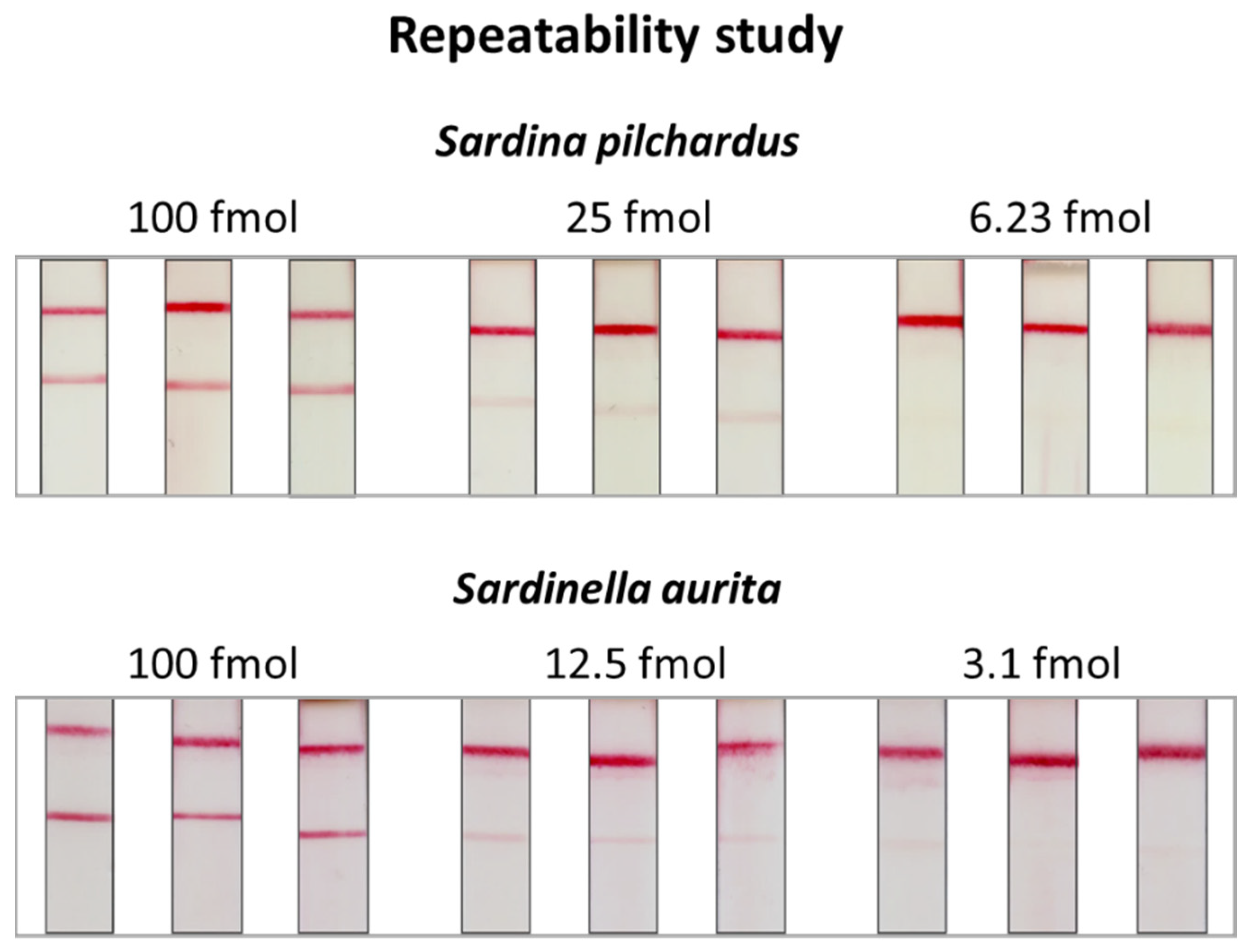 Molecules 29 00677 g007