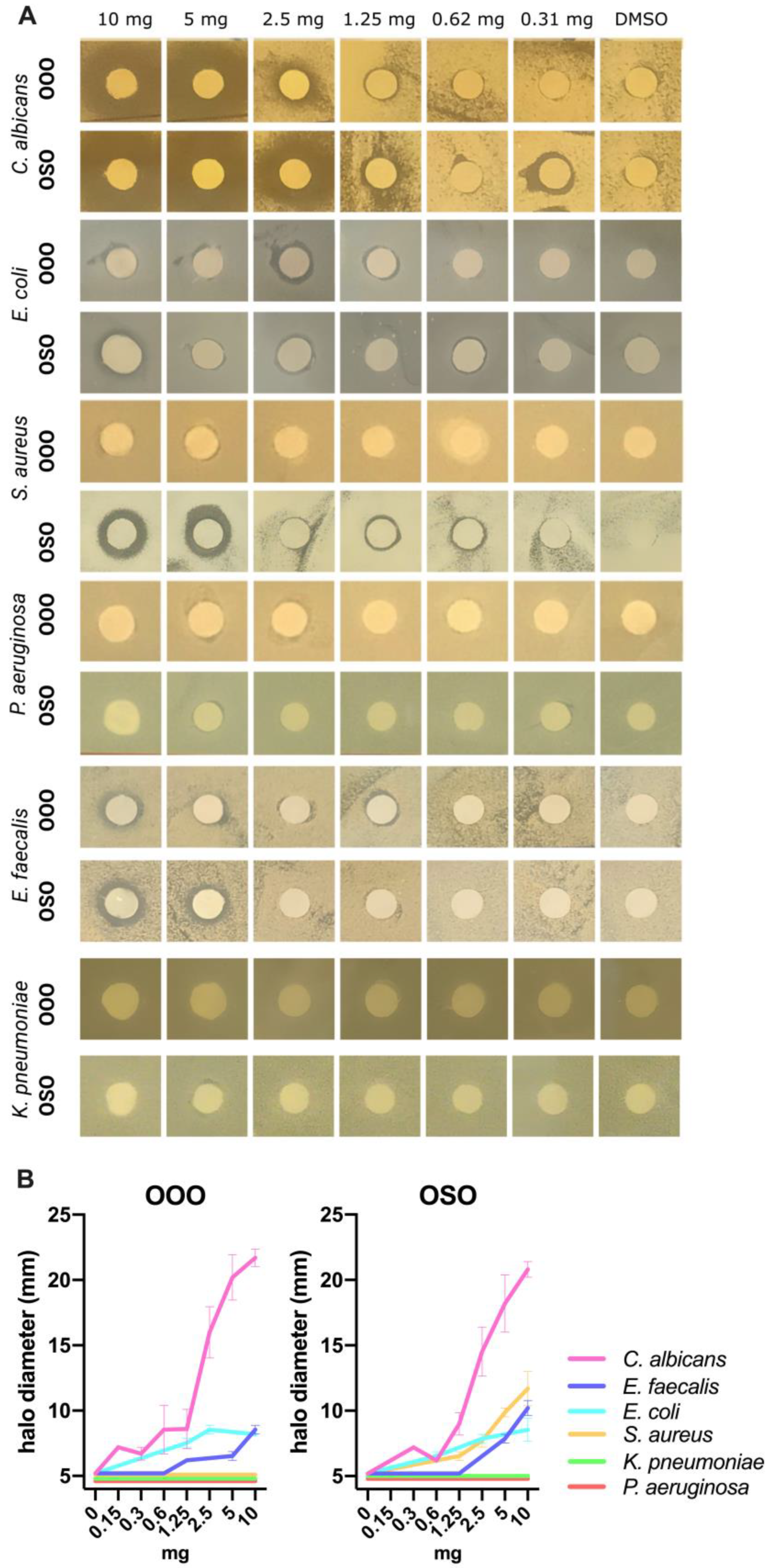 Molecules 29 00679 g006
