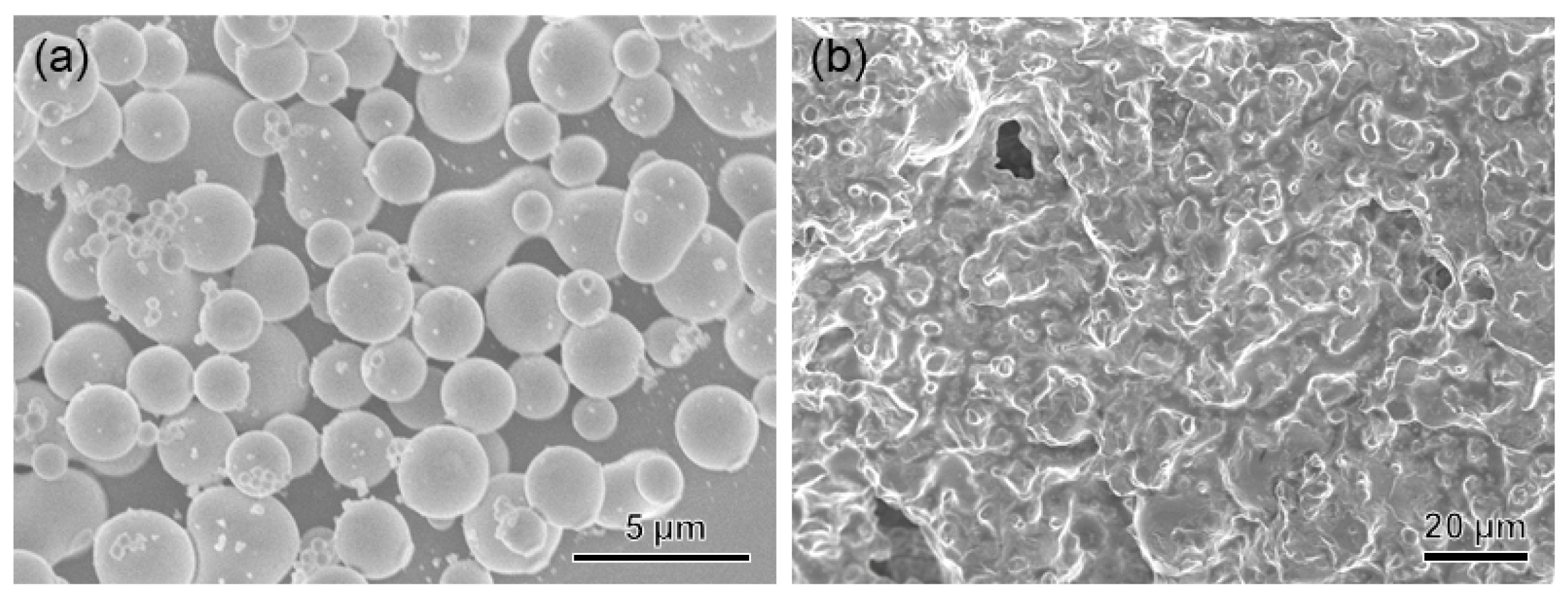 Molecules 29 00681 g004