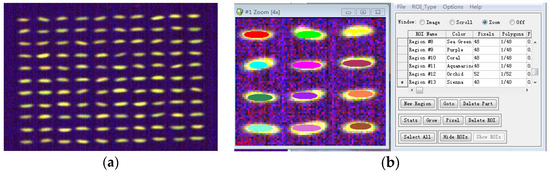 The Rapid Non-Destructive Differentiation of Different