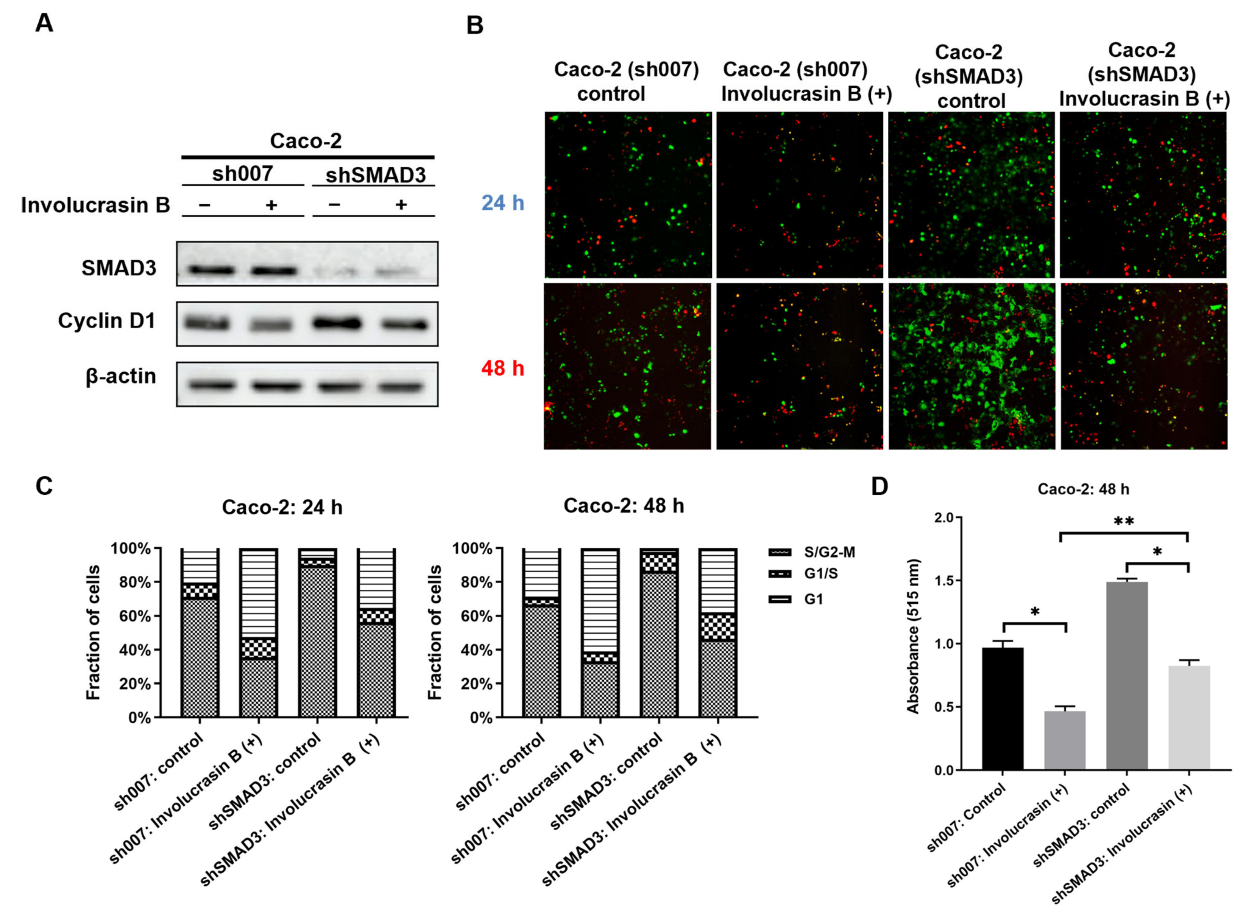 Molecules 29 00686 g005