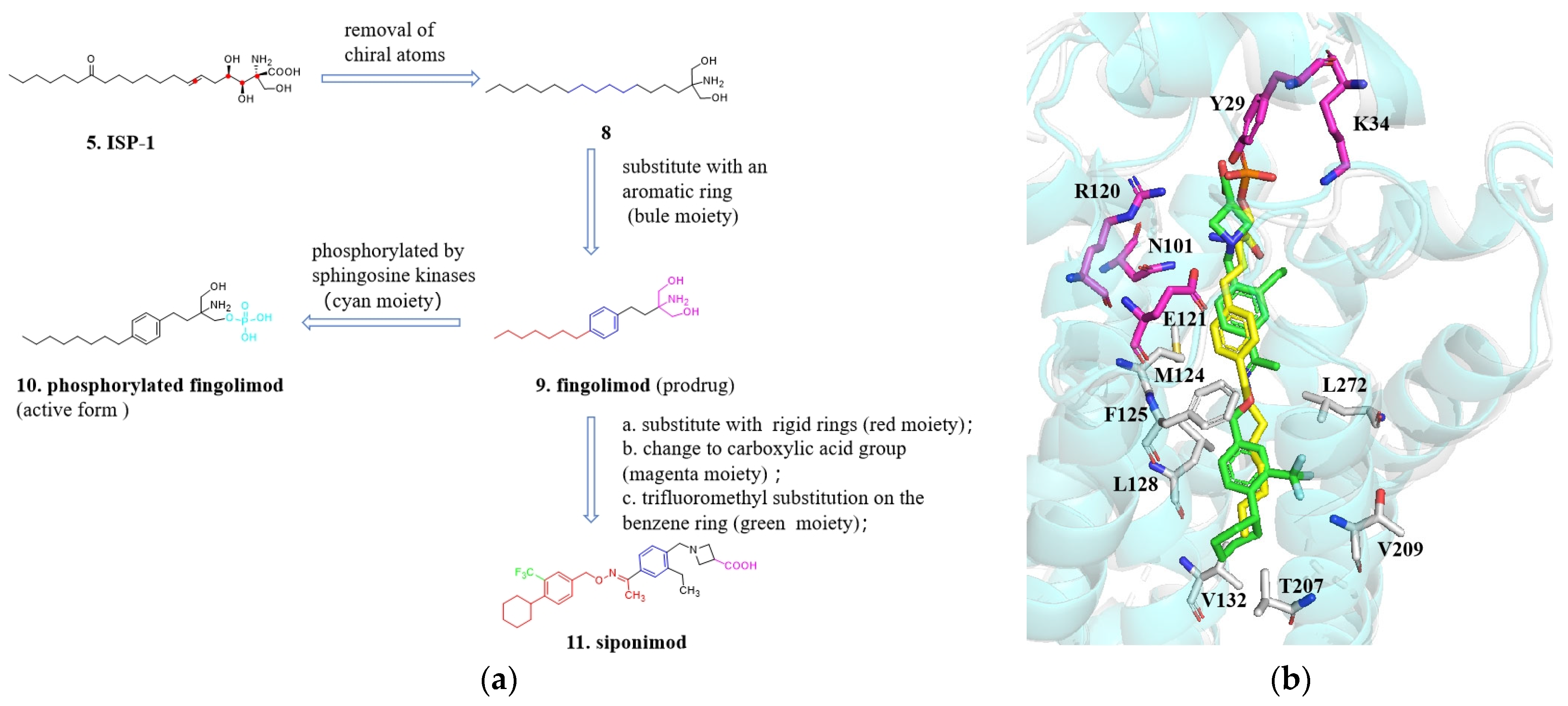Molecules 29 00689 g006