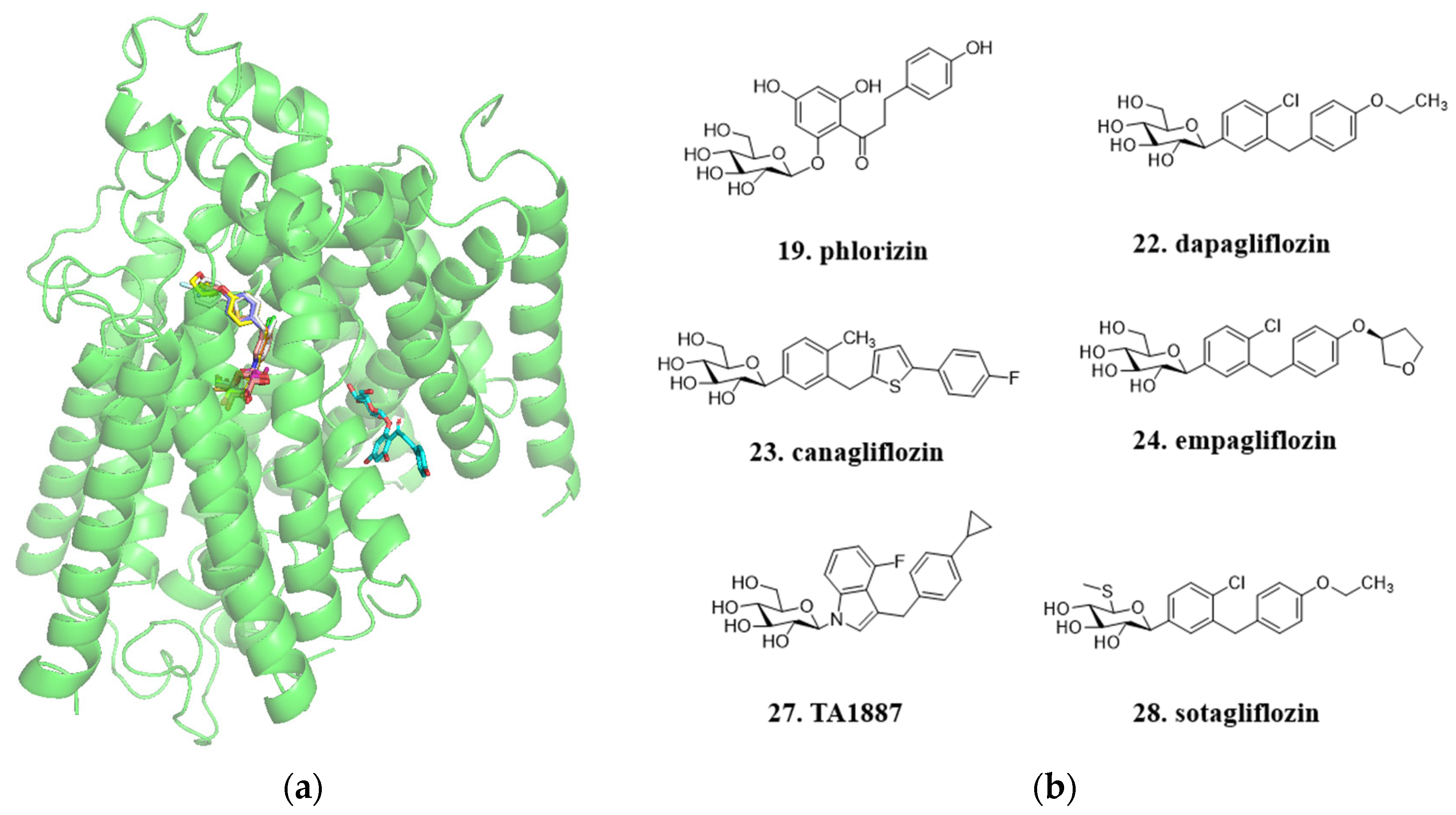 Molecules 29 00689 g010