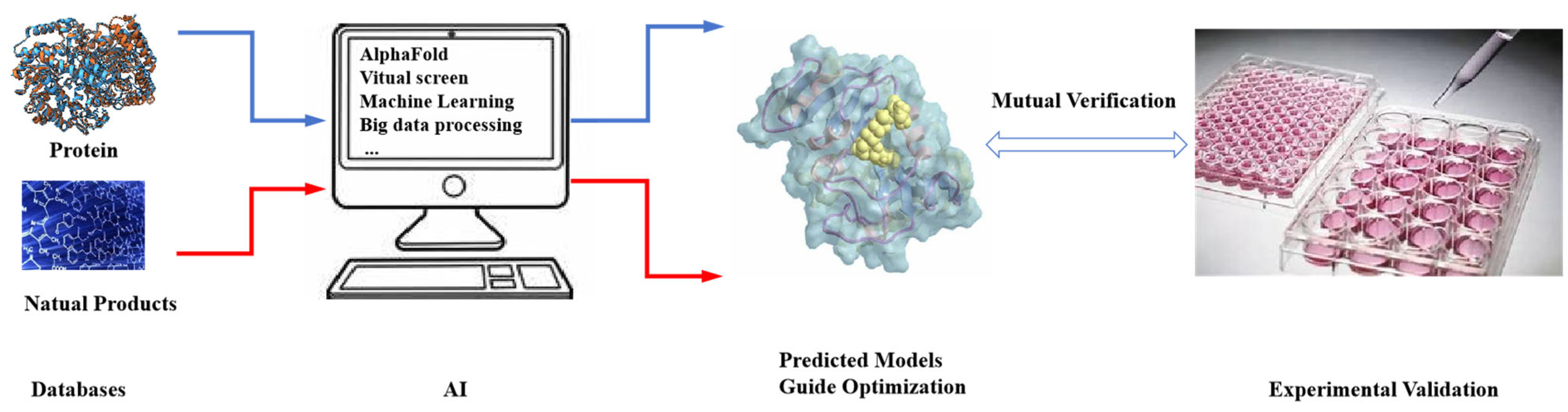 Molecules 29 00689 g014