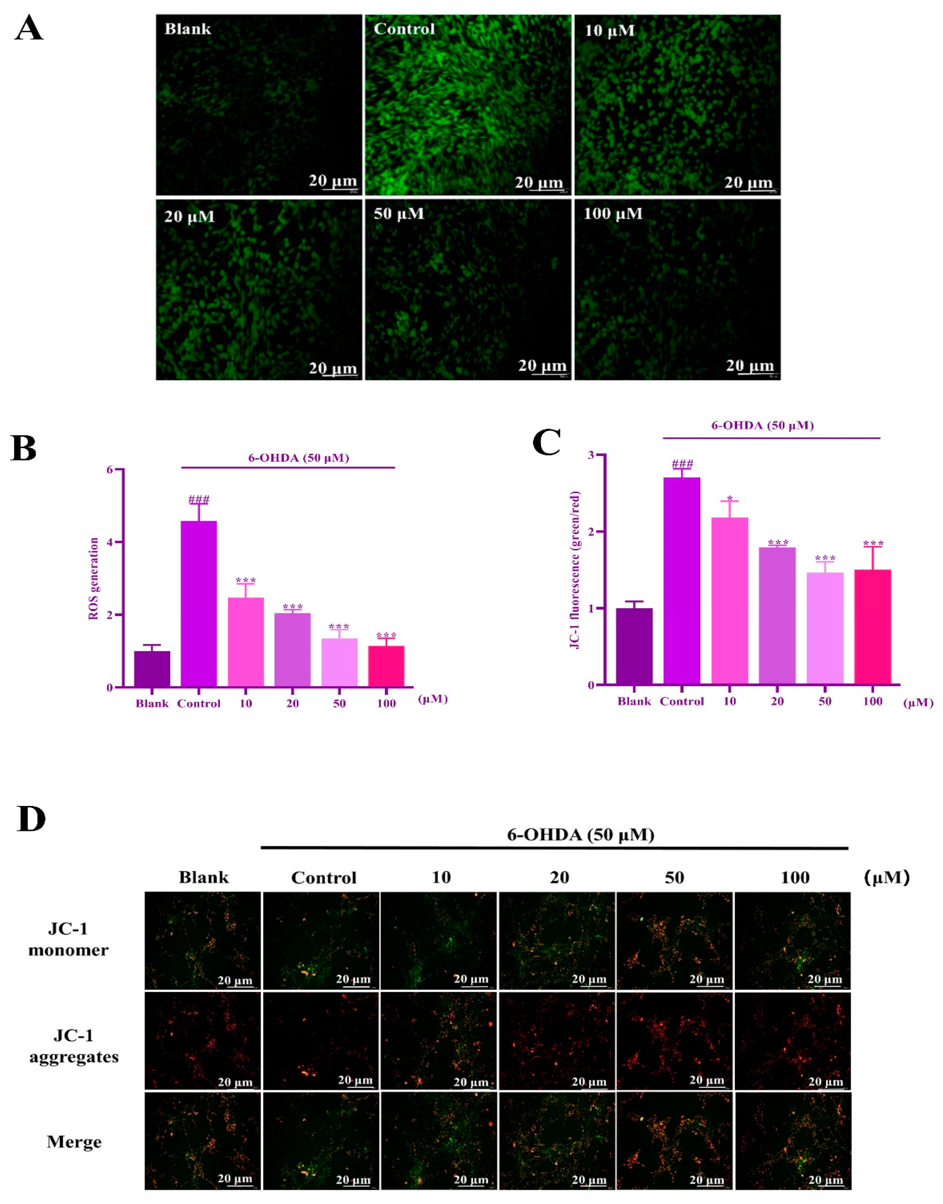Molecules 29 00692 g007