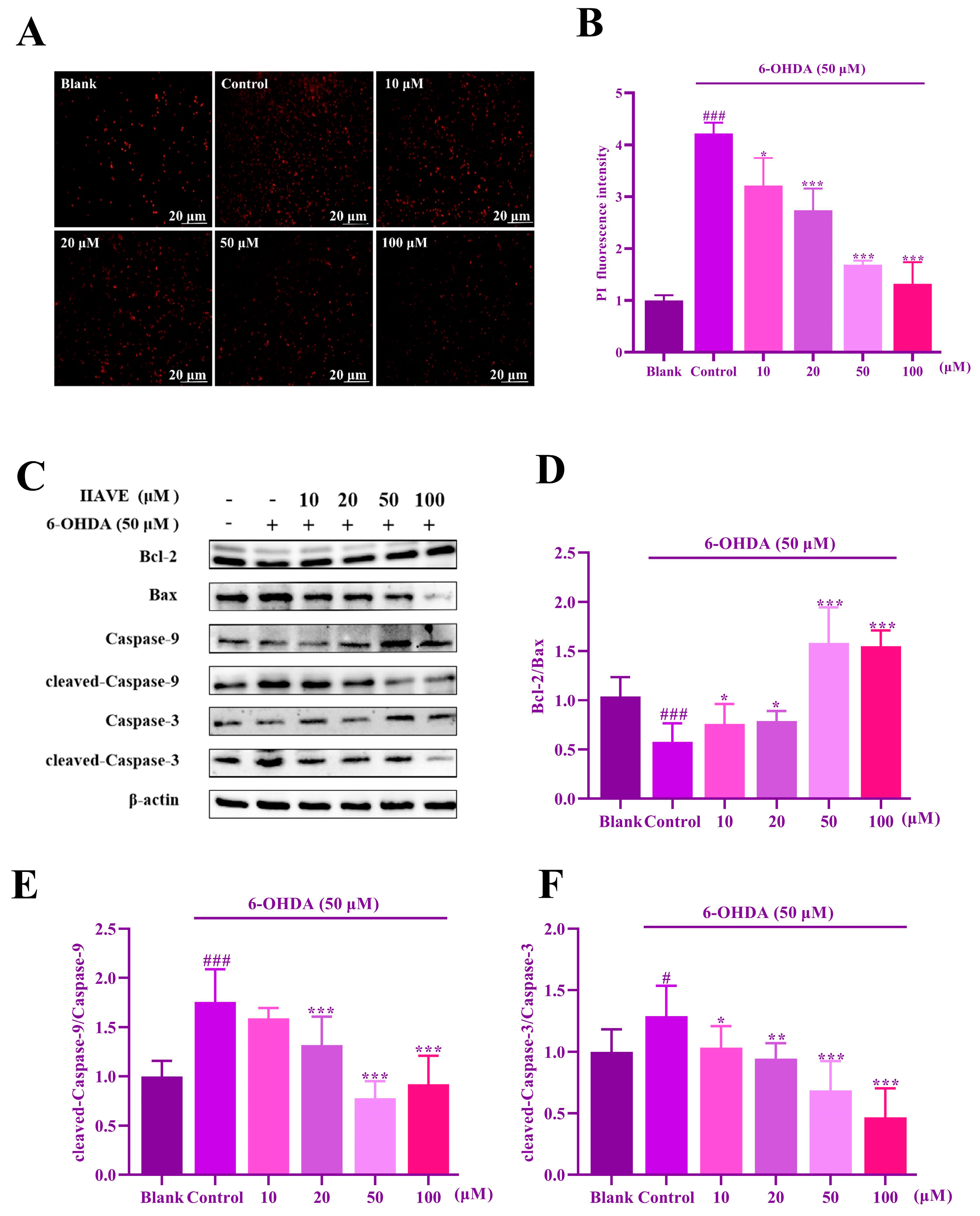 Molecules 29 00692 g009