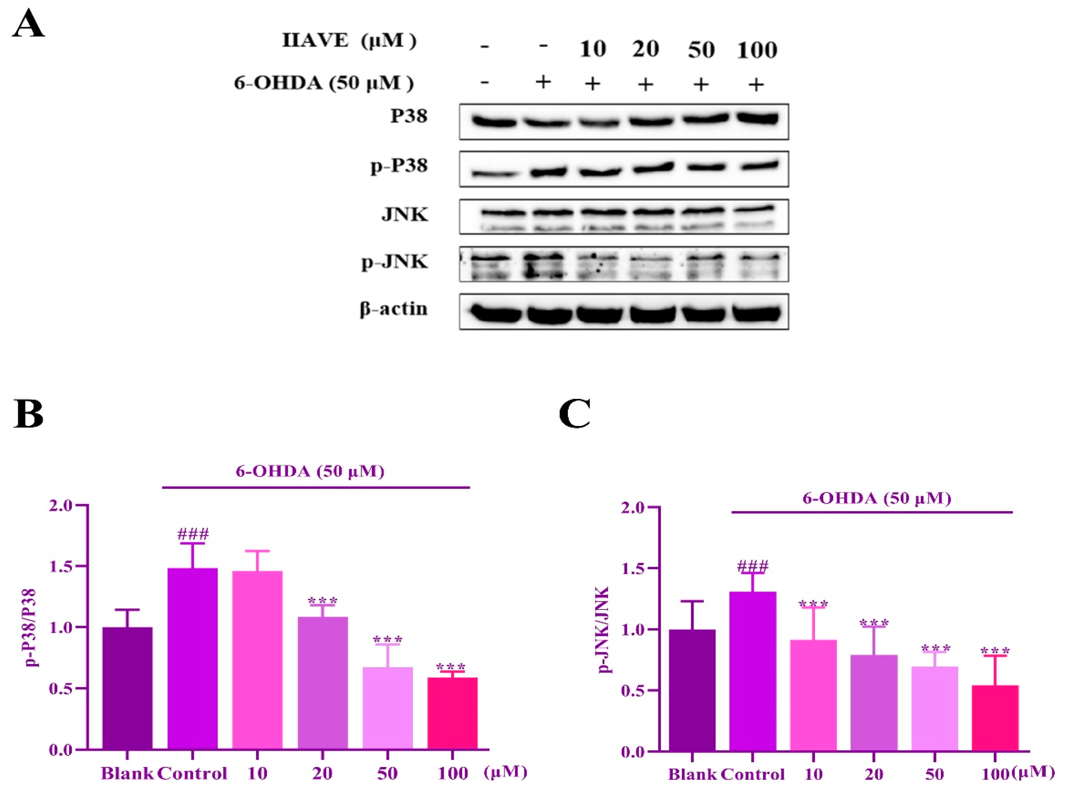 Molecules 29 00692 g010