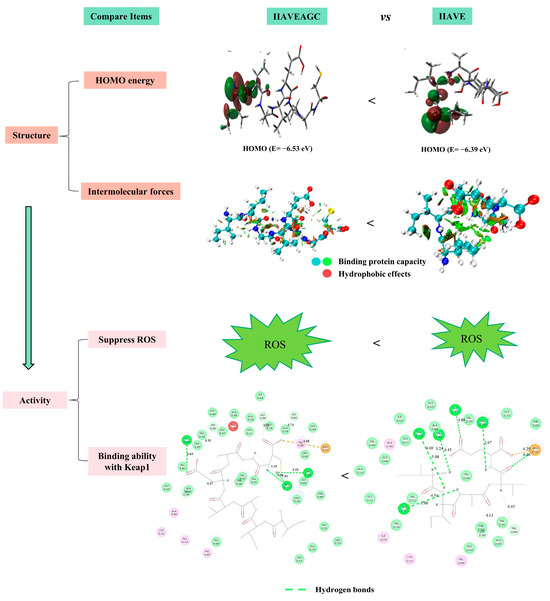 Neuroprotection of Truncated Peptide IIAVE from Isochrysis