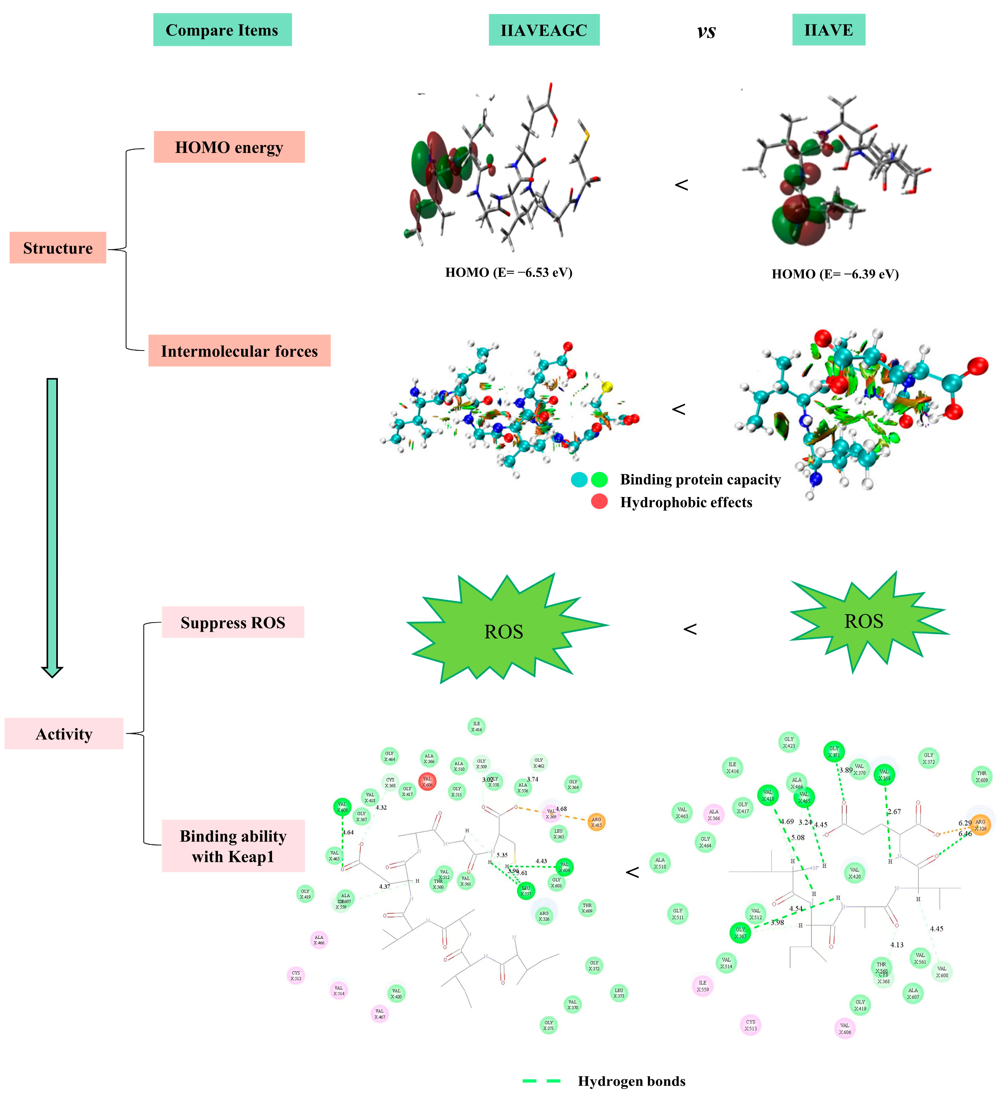 Molecules 29 00692 g011