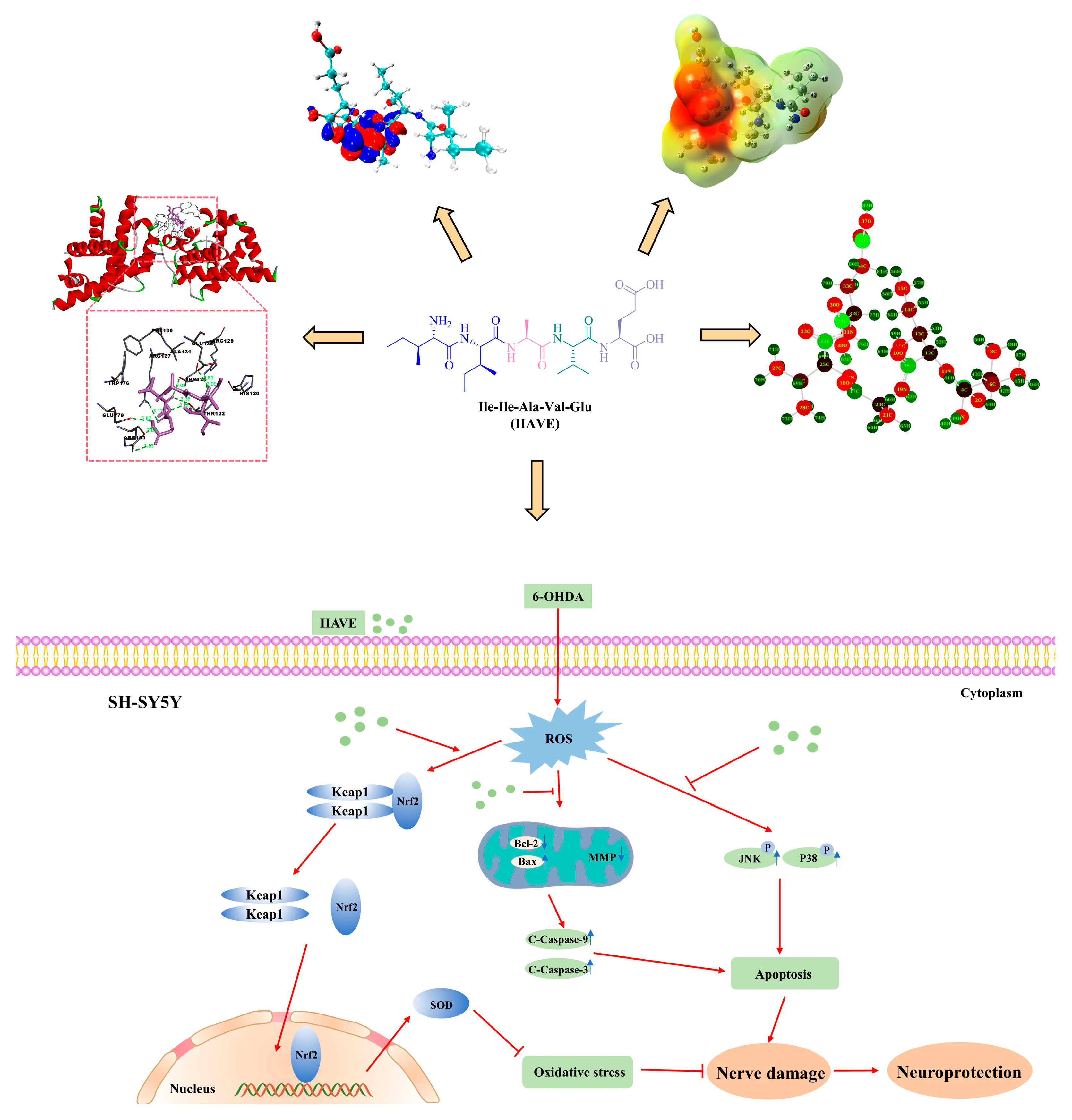 Molecules 29 00692 g012