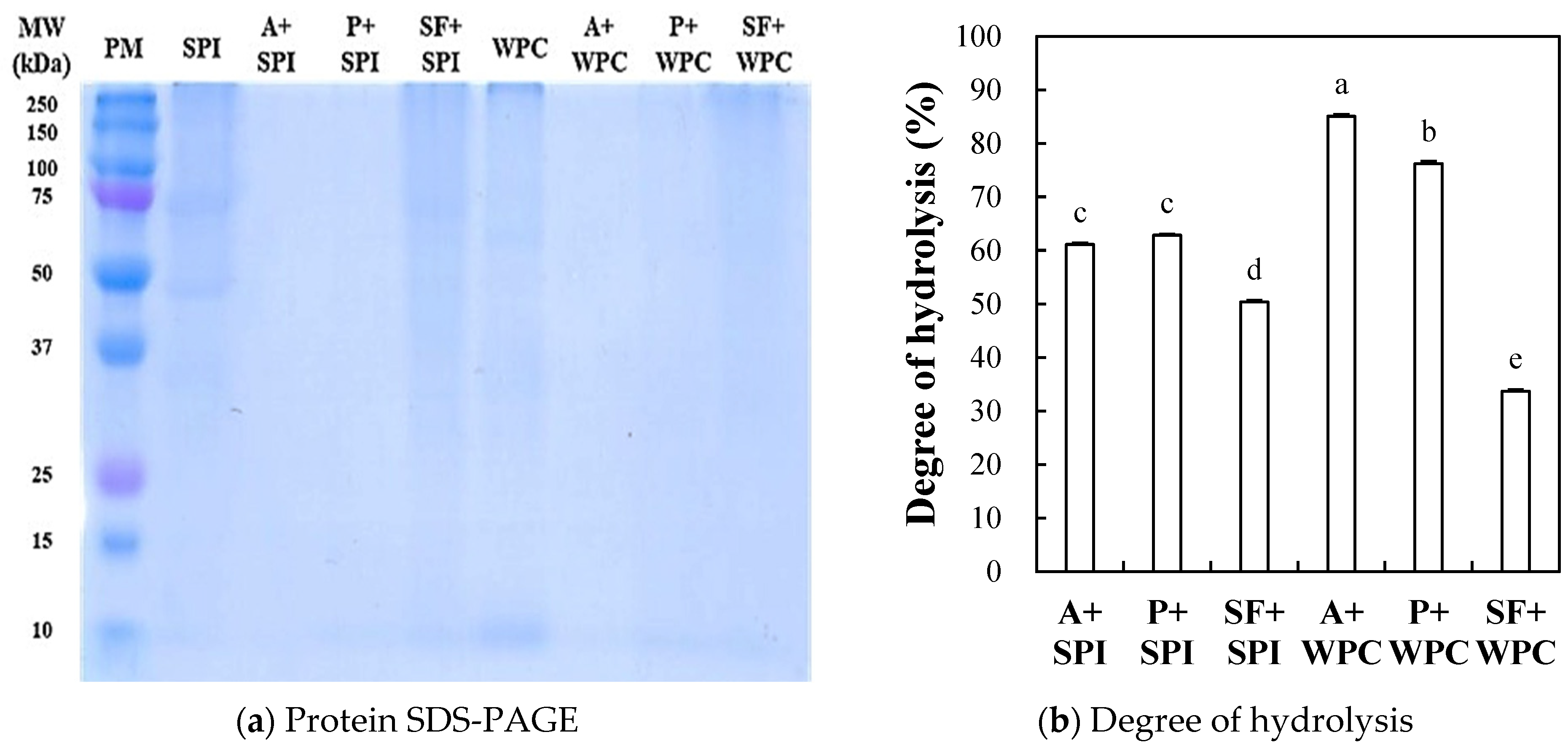 Molecules 29 00693 g003