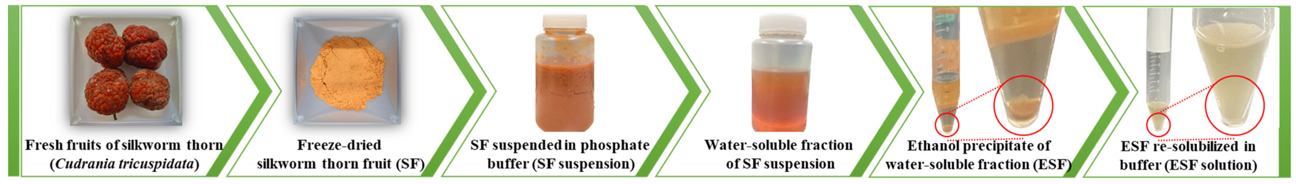 Molecules 29 00693 g005