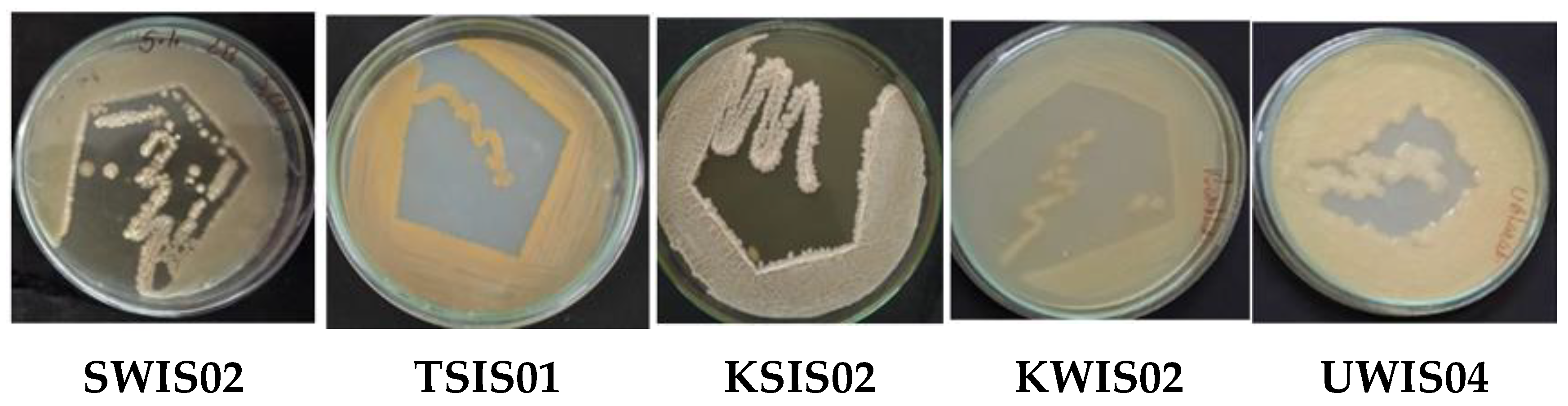Molecules 29 00695 g001