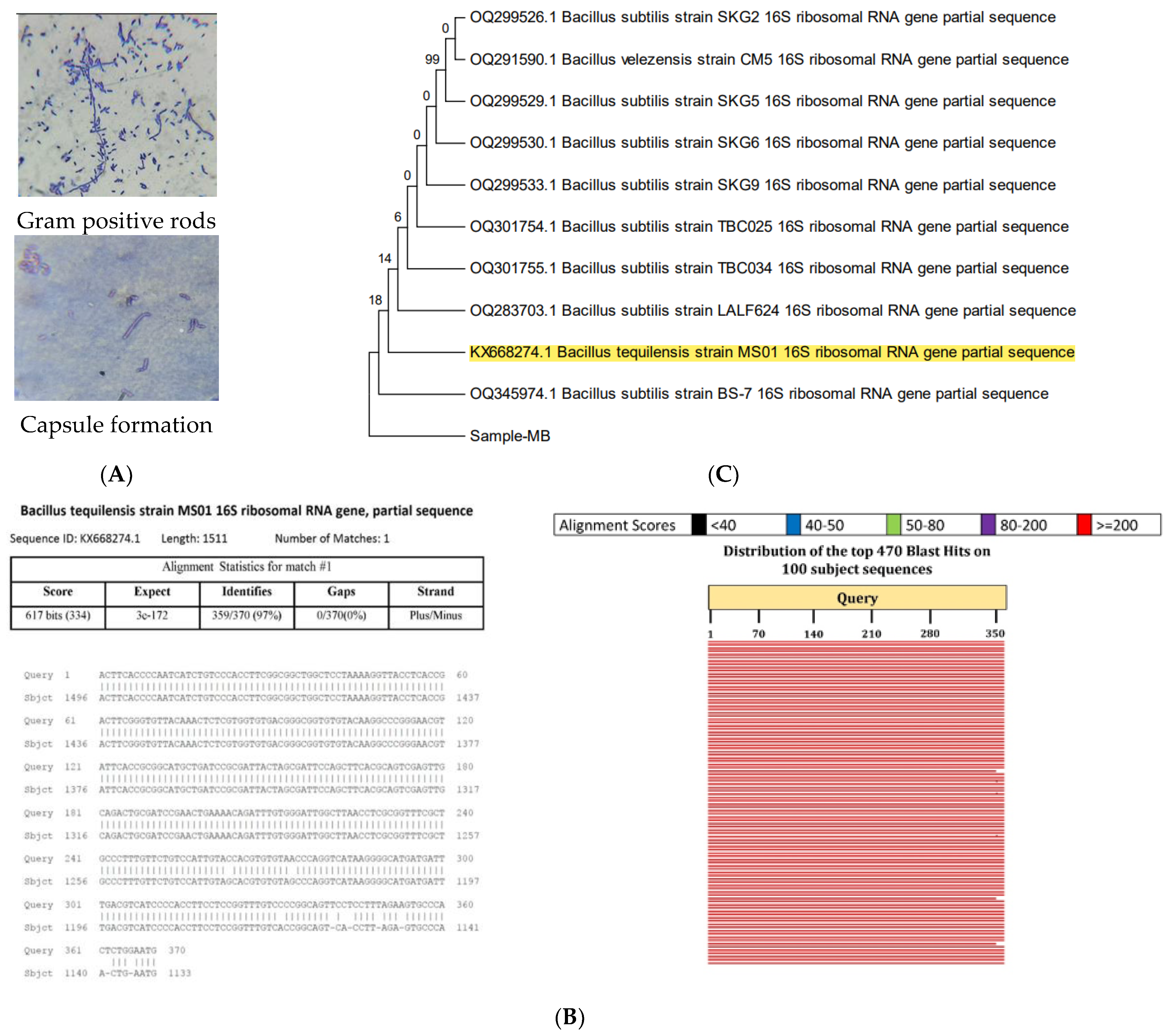 Molecules 29 00695 g003