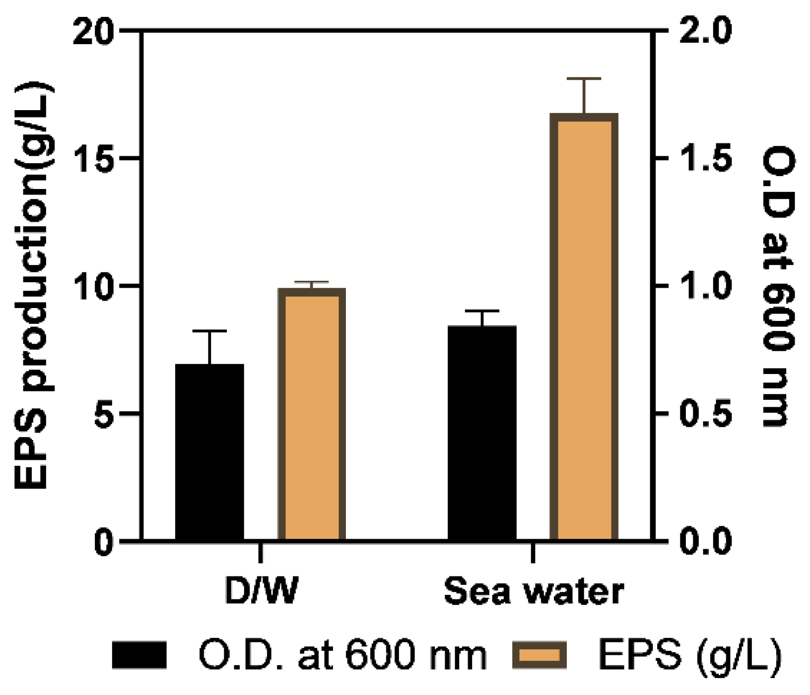 Molecules 29 00695 g006