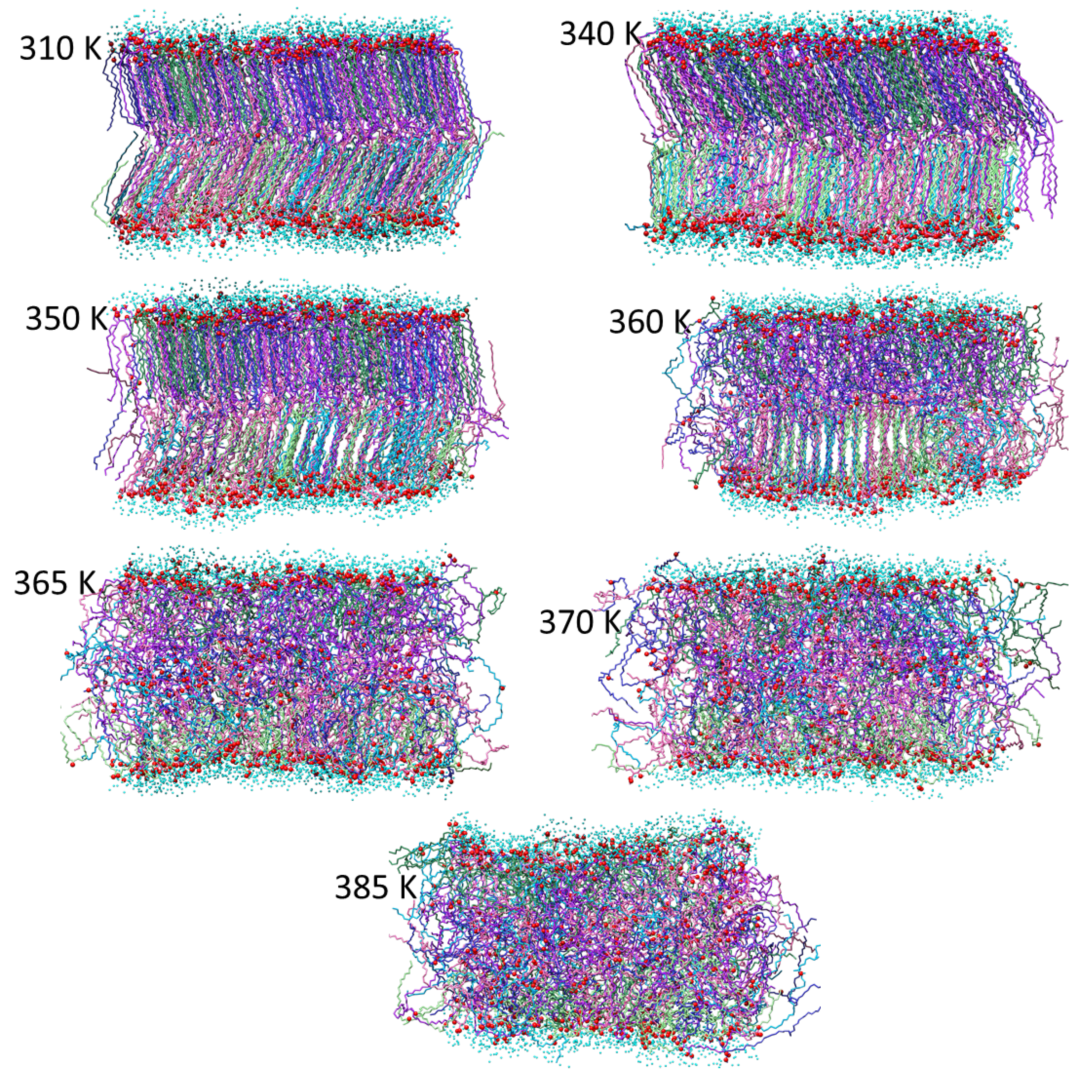 Molecules 29 00696 g011