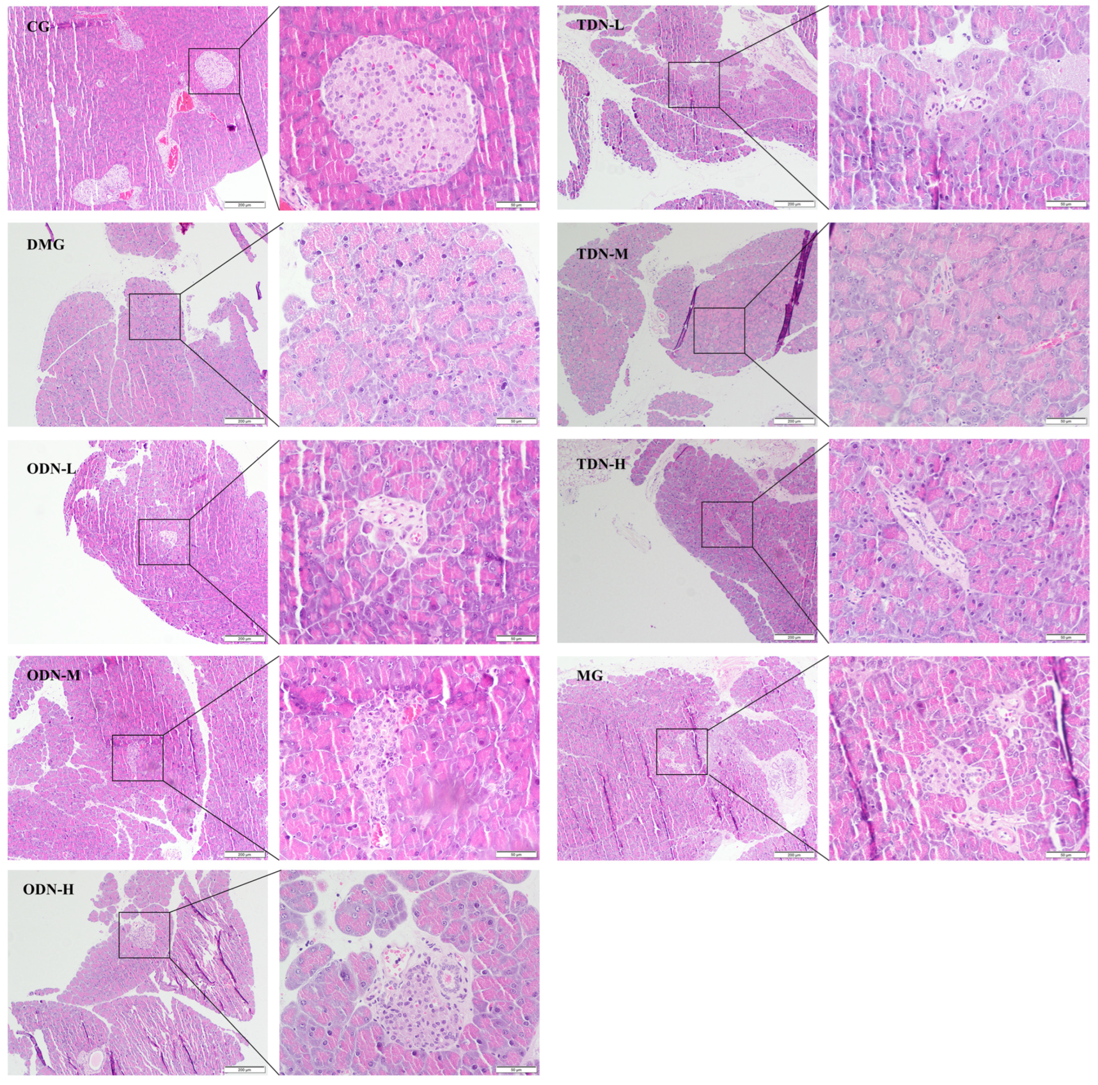 Molecules 29 00699 g007
