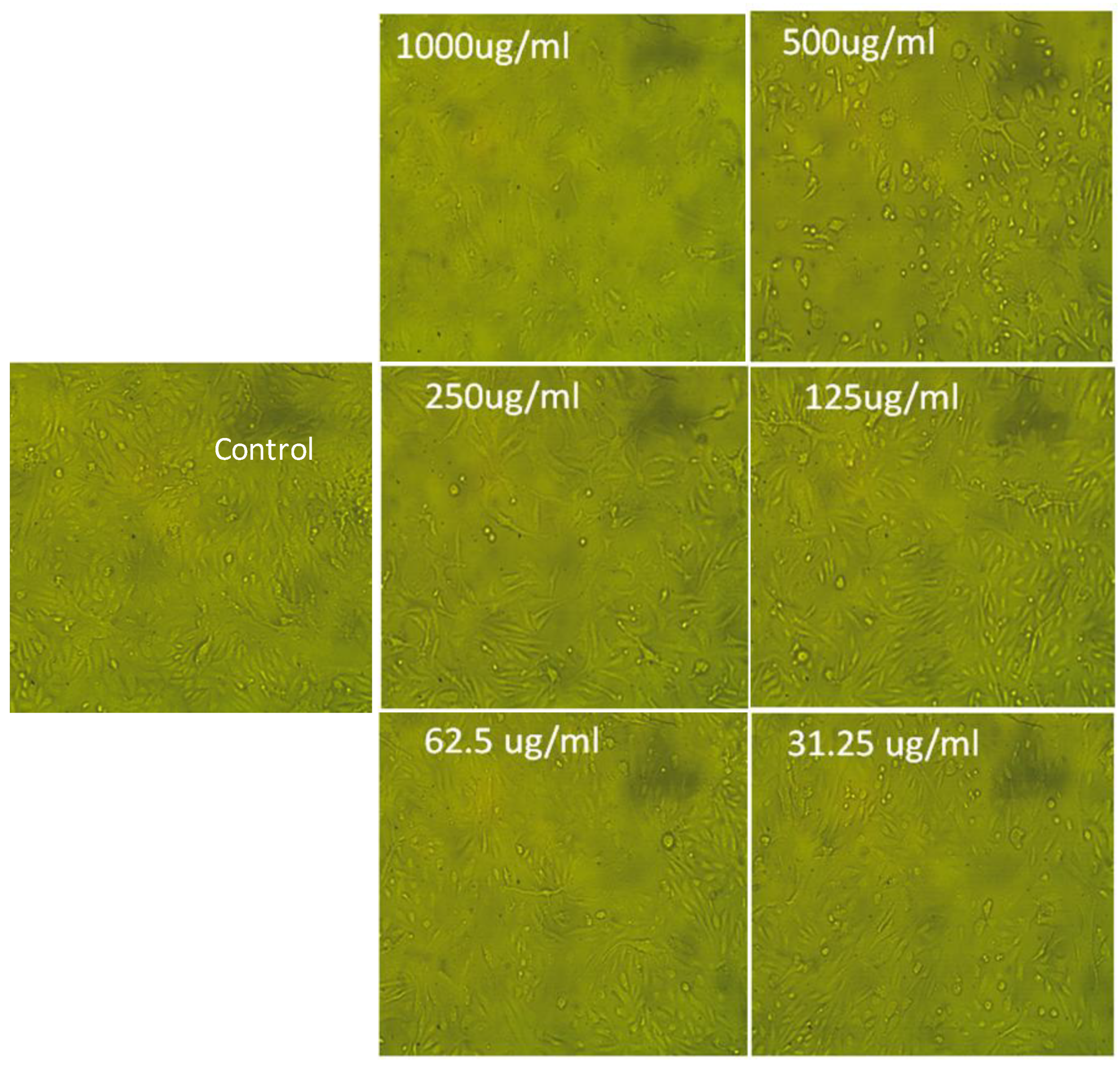 Molecules 29 00704 g002