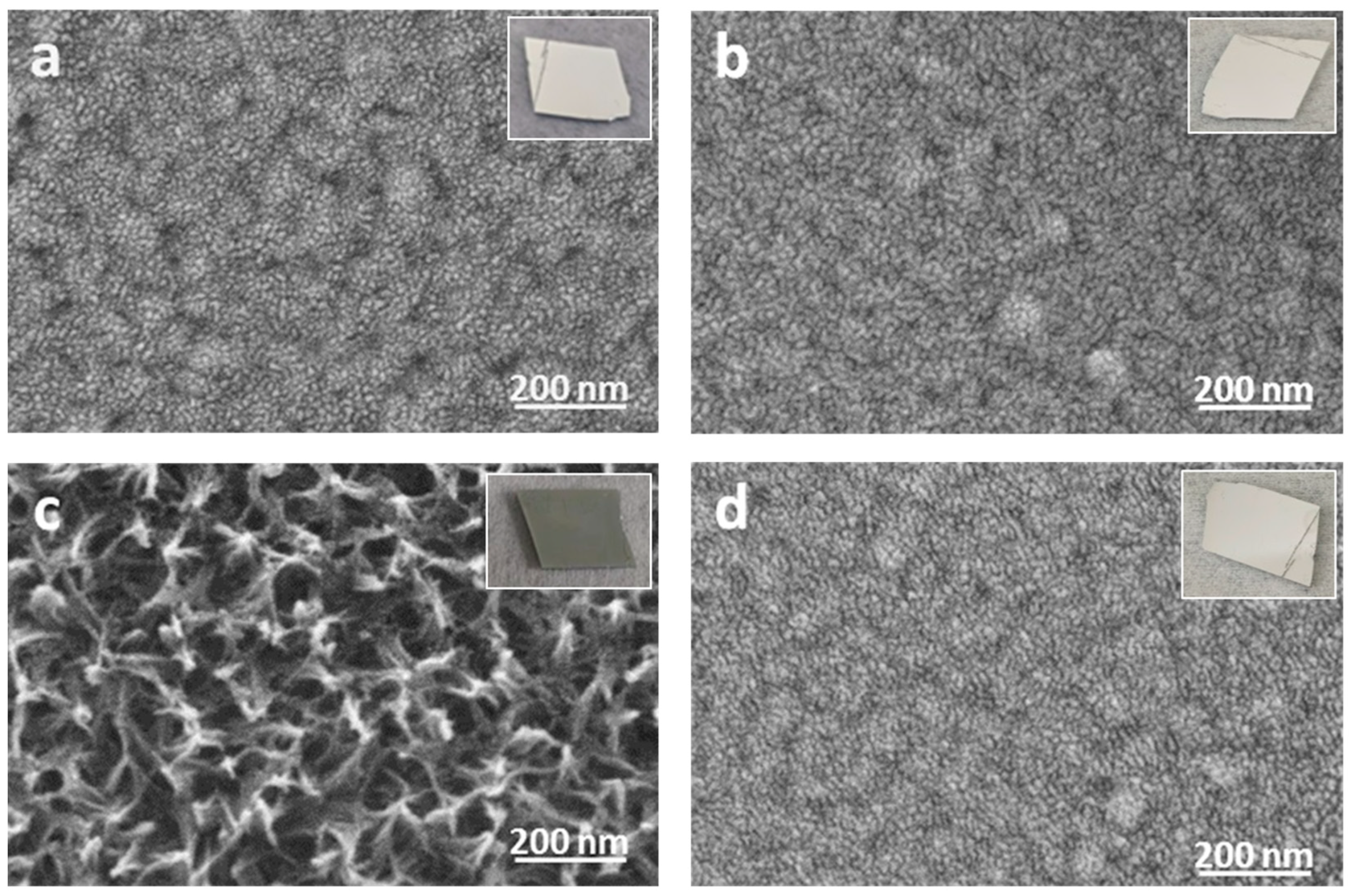 Molecules 29 00706 g002