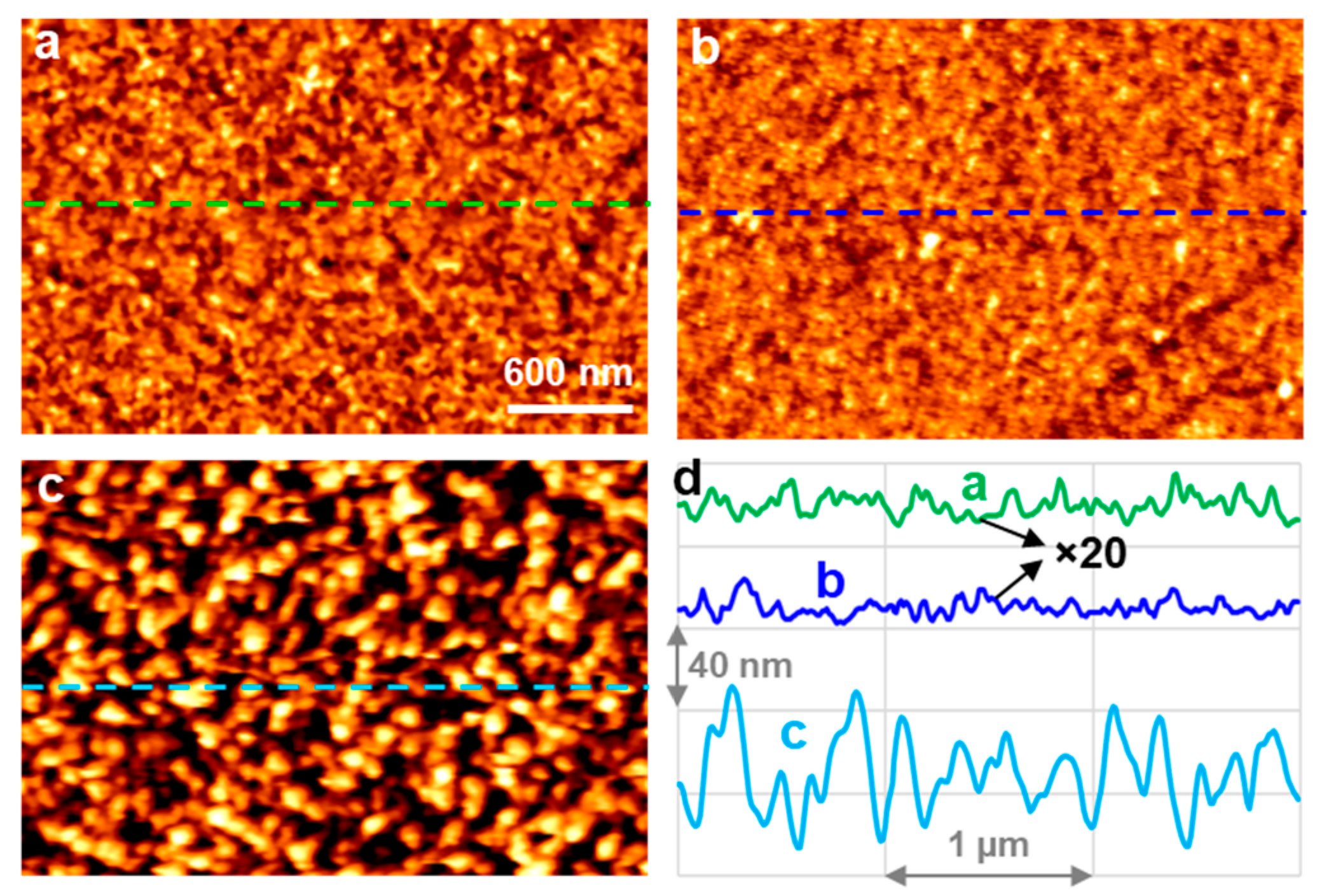 Molecules 29 00706 g003