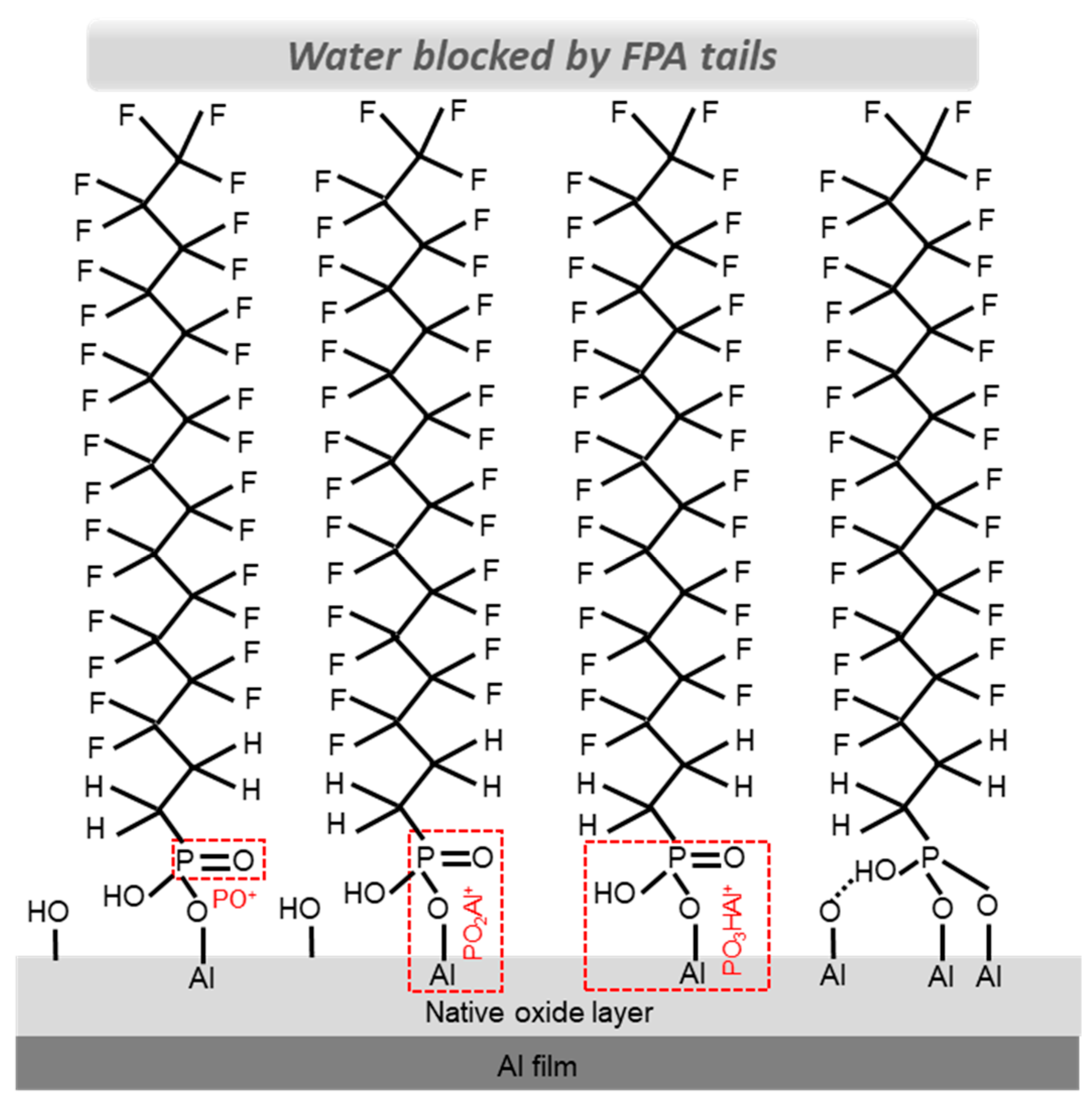Molecules 29 00706 g007
