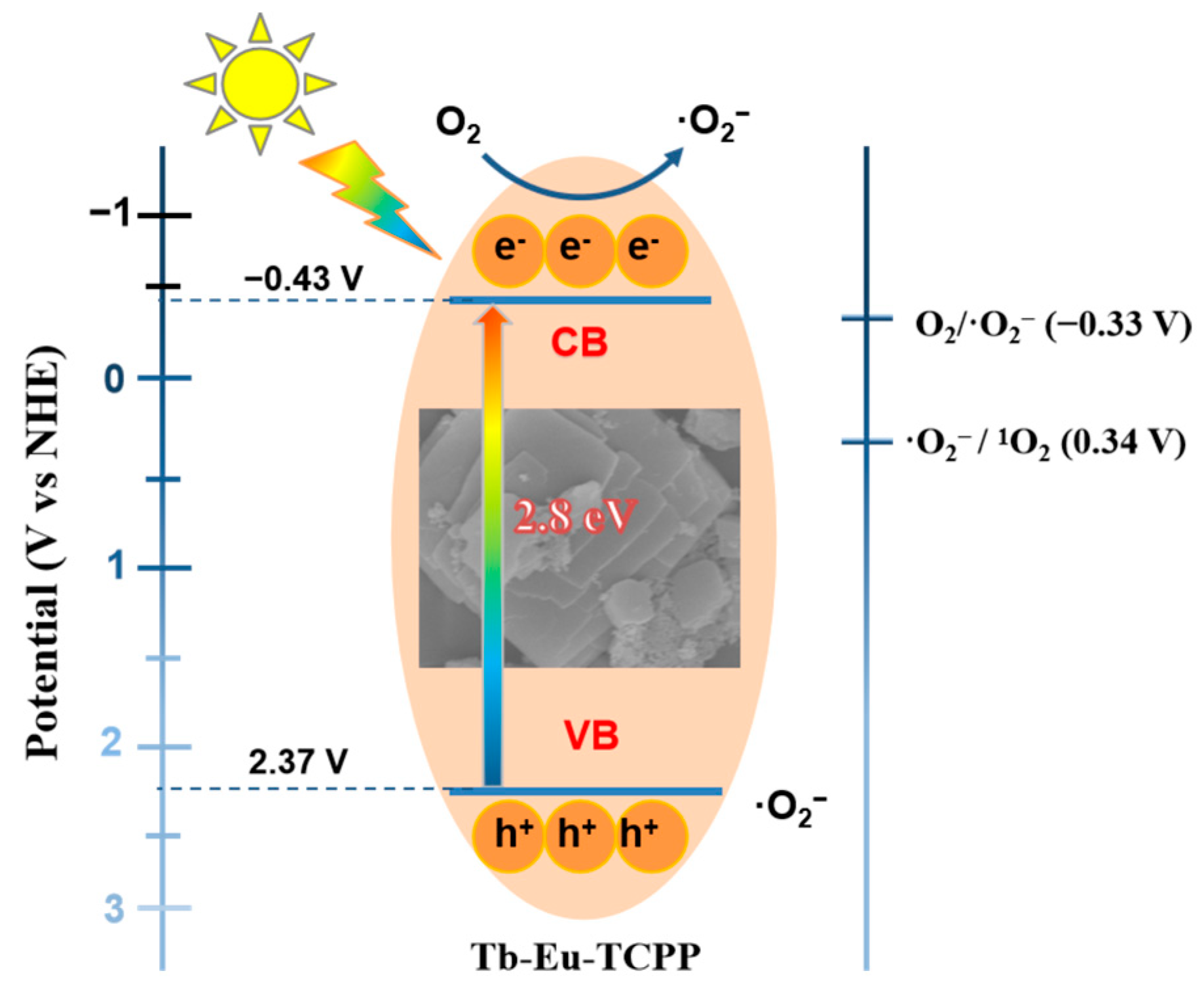 Molecules 29 00708 g007