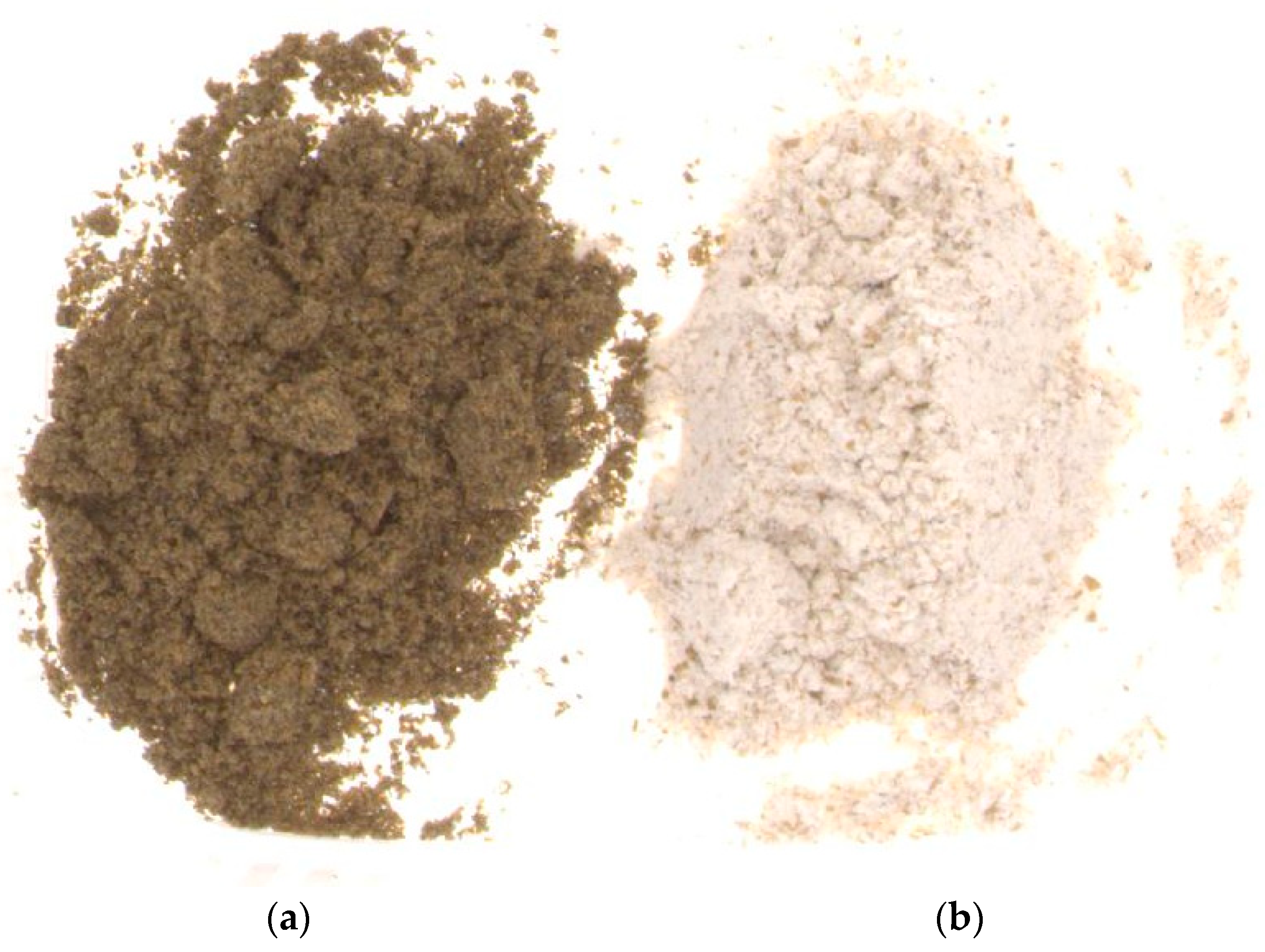 Molecules 29 00711 g001
