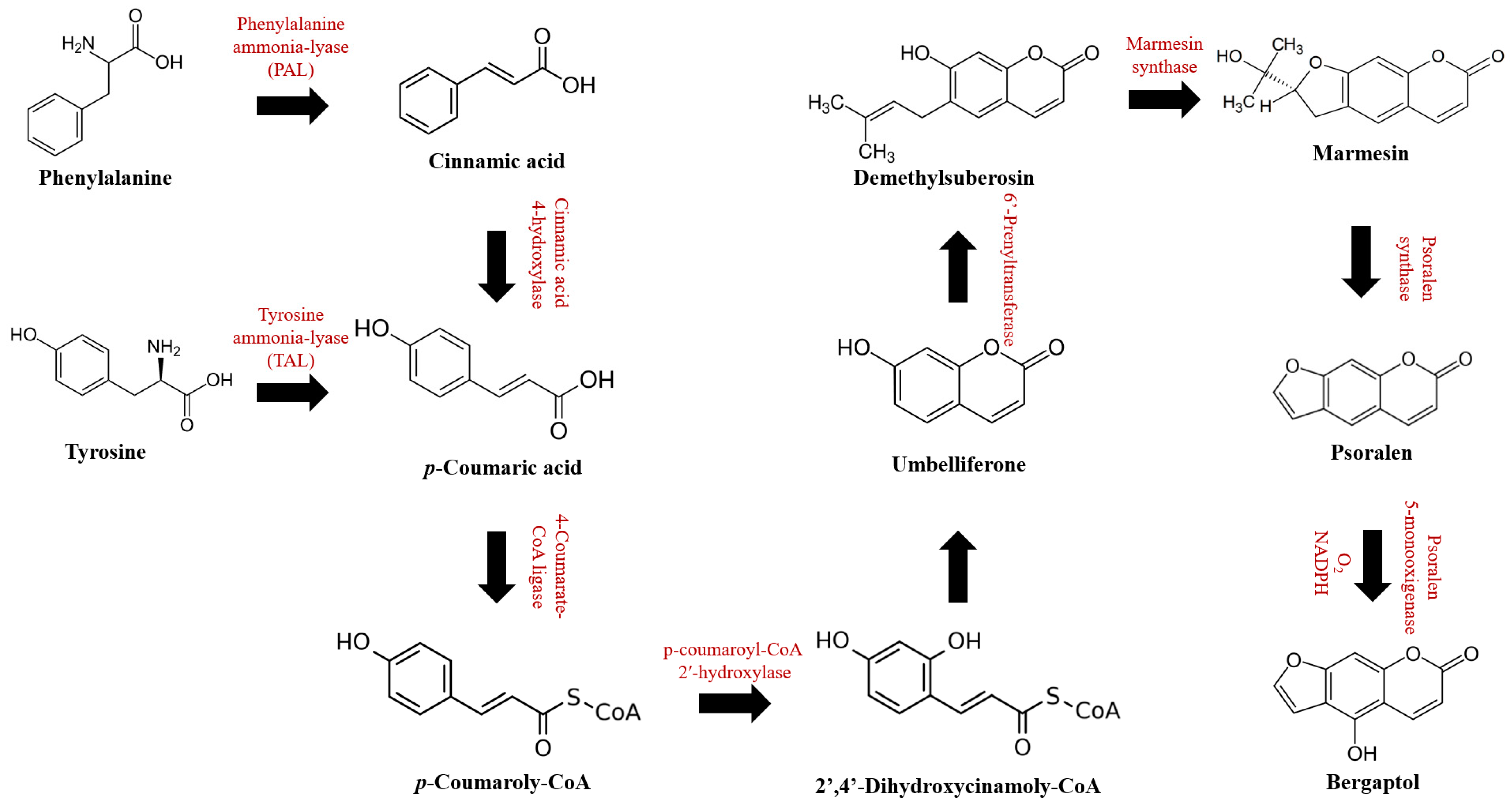Molecules 29 00713 g002