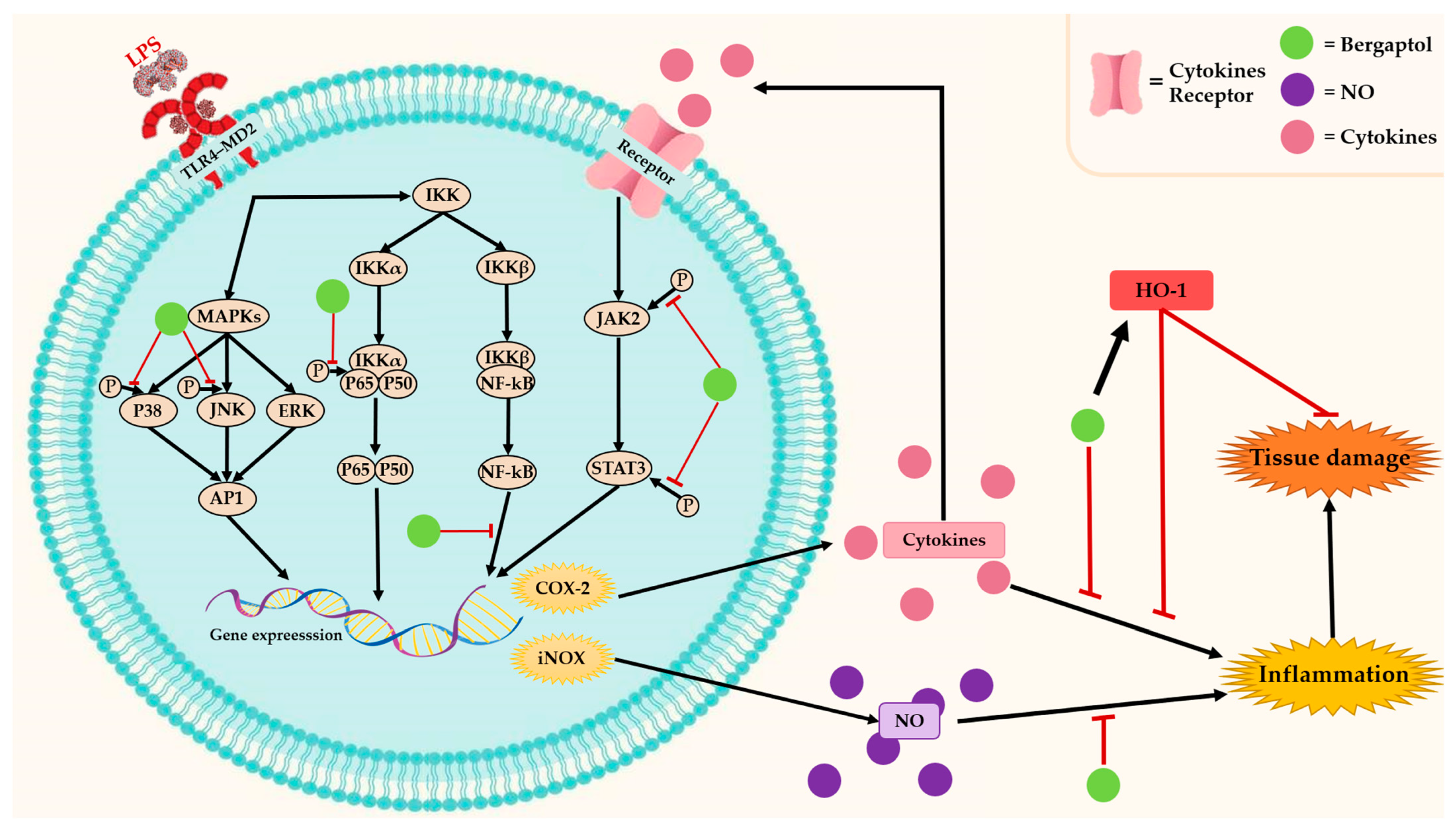 Molecules 29 00713 g003