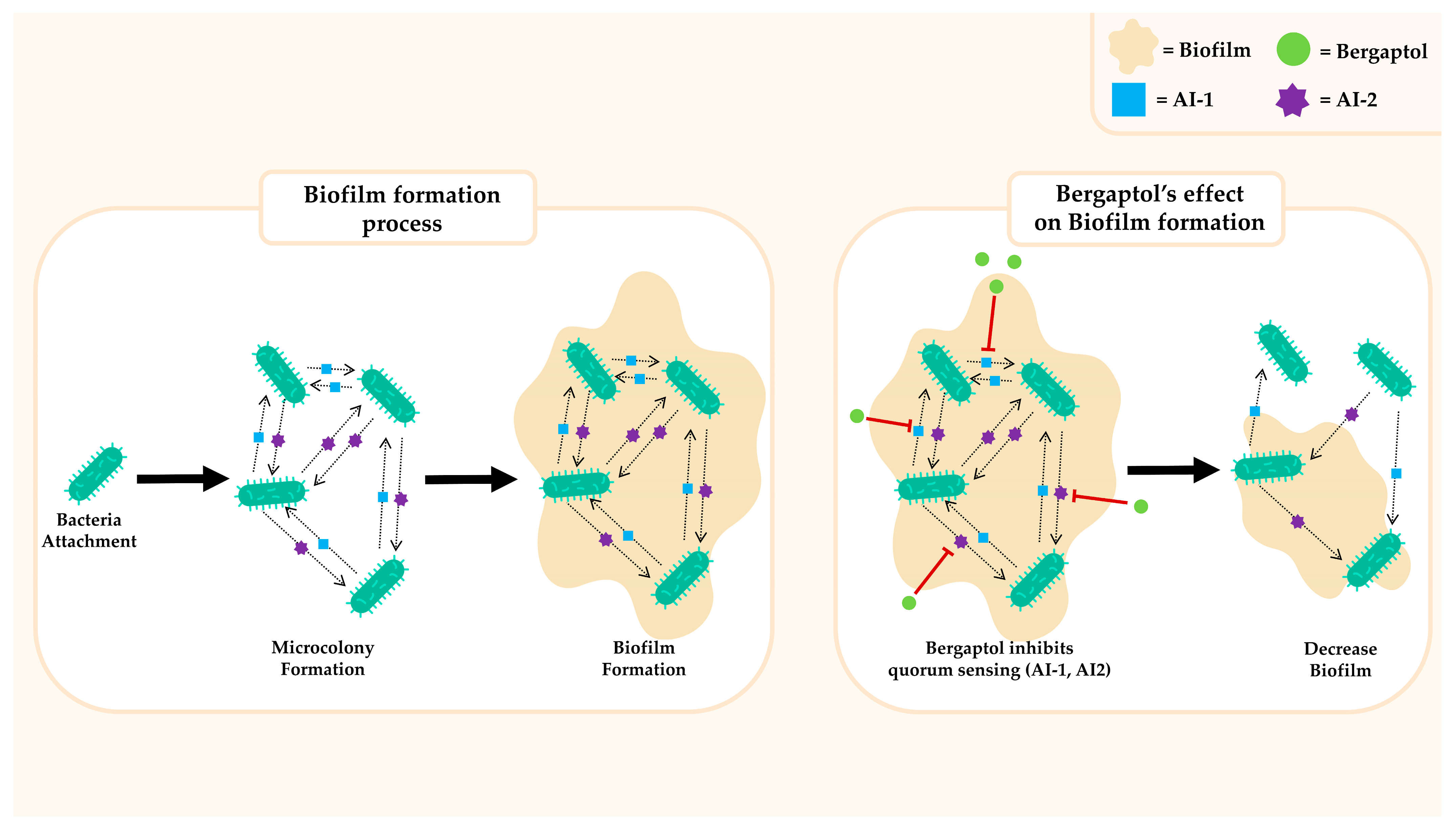 Molecules 29 00713 g006