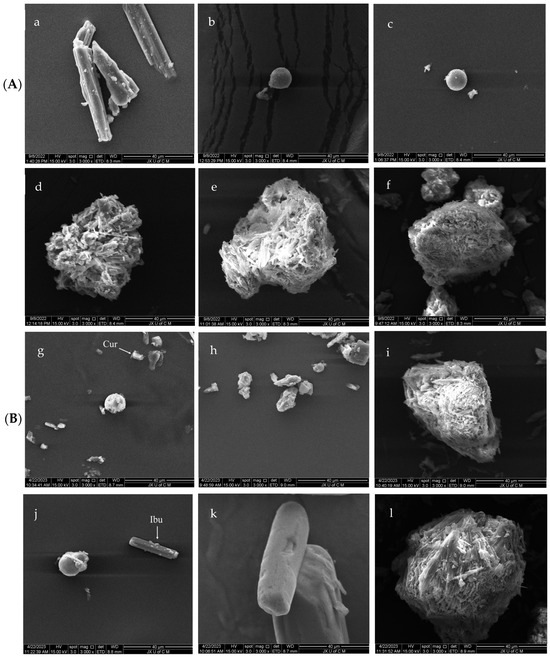 The Fabrication, Drug Loading, and Release Behavior of Porous Mannitol