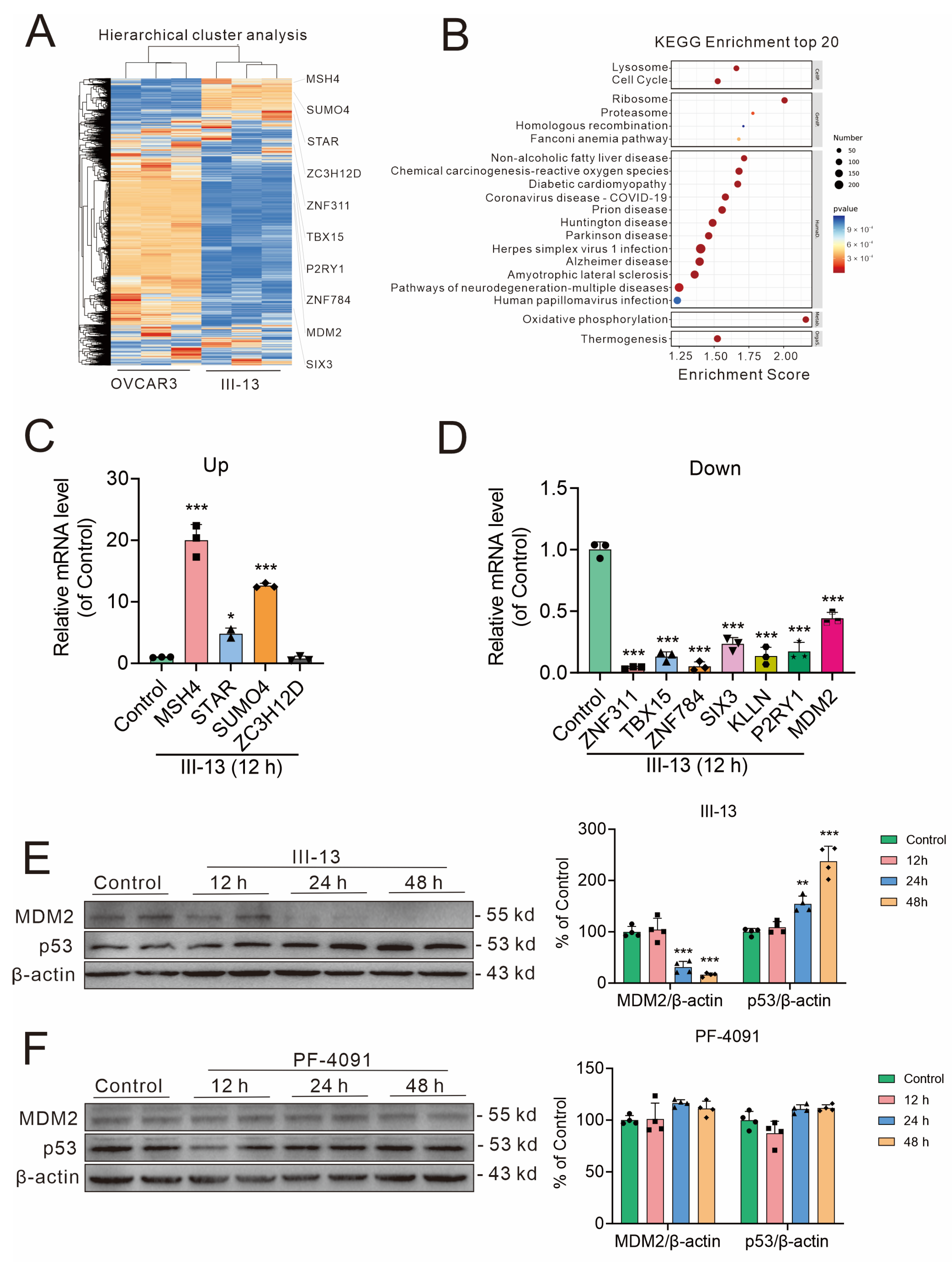 Molecules 29 00725 g003