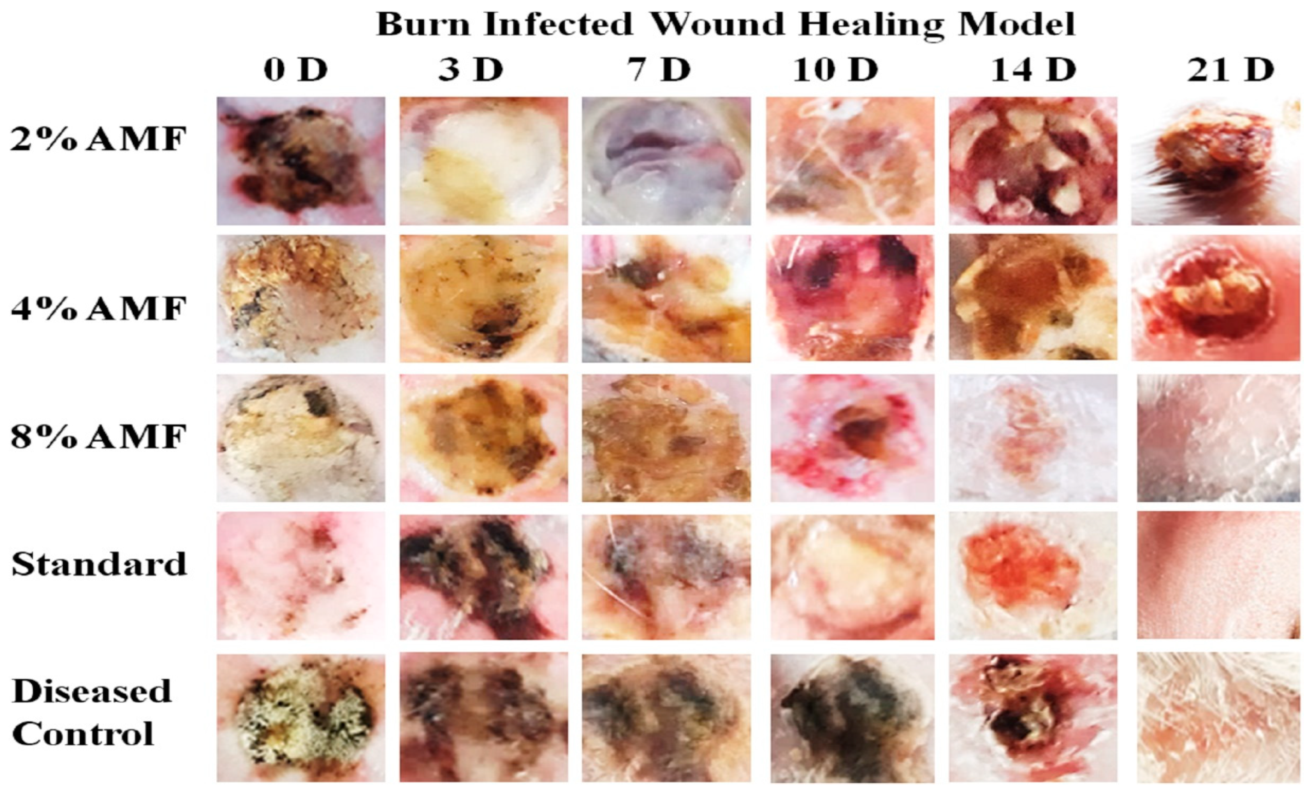 Molecules 29 00729 g002