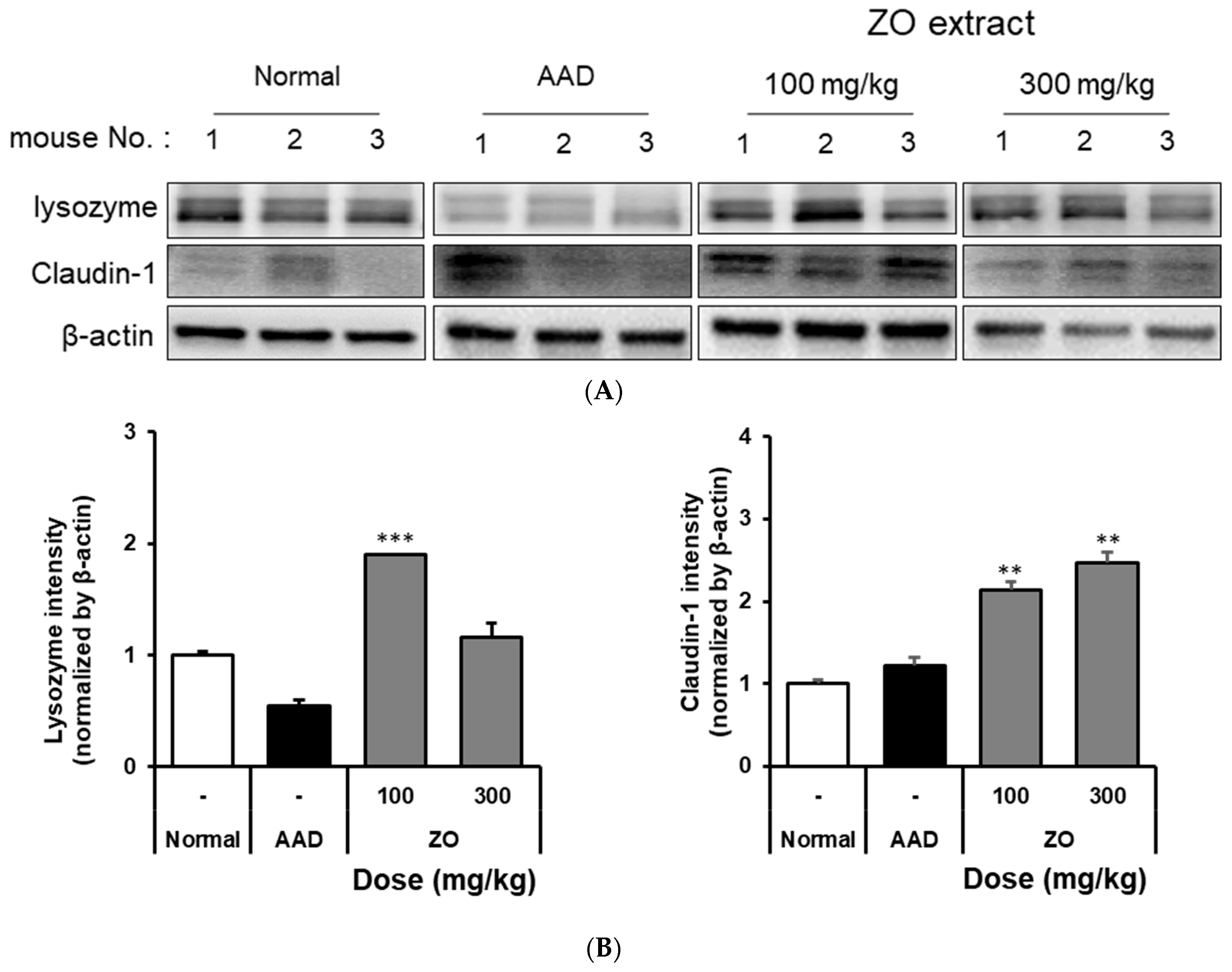 Molecules 29 00732 g002