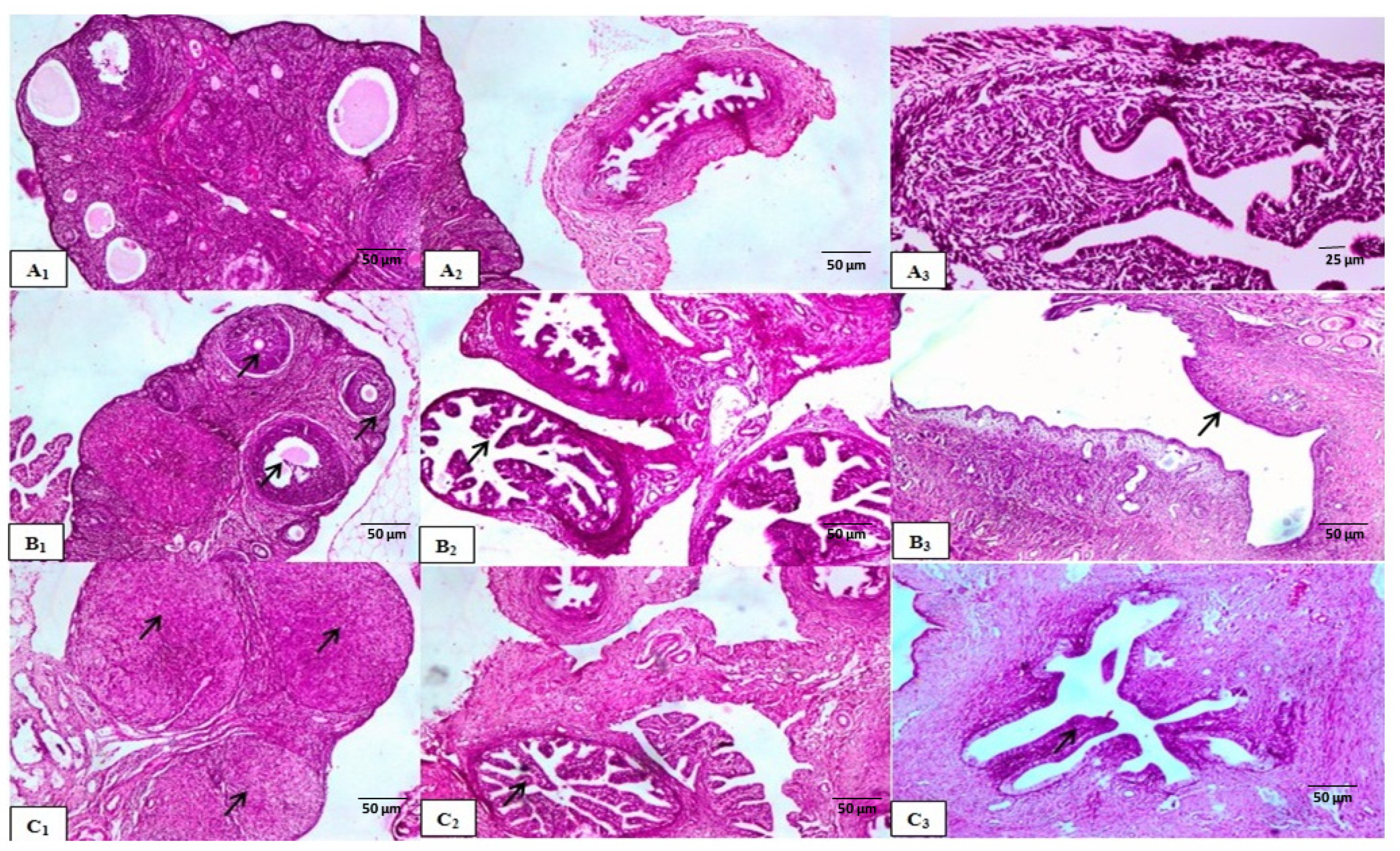 Molecules 29 00735 g003