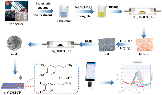 A Portable Electrochemical Dopamine Detector Using a Fish Scale