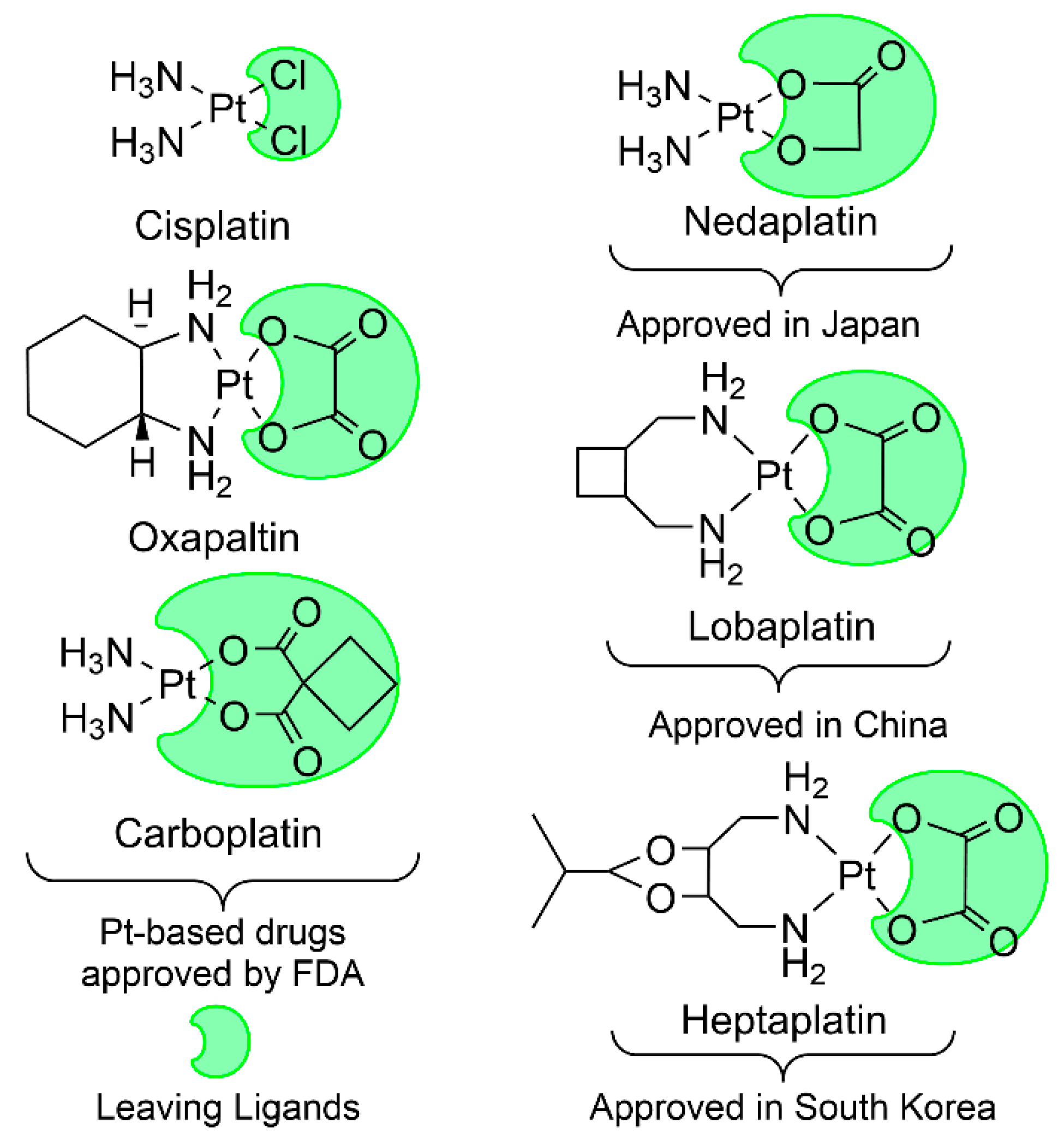 Molecules 29 00746 g001 Molecules 29 00746 g001