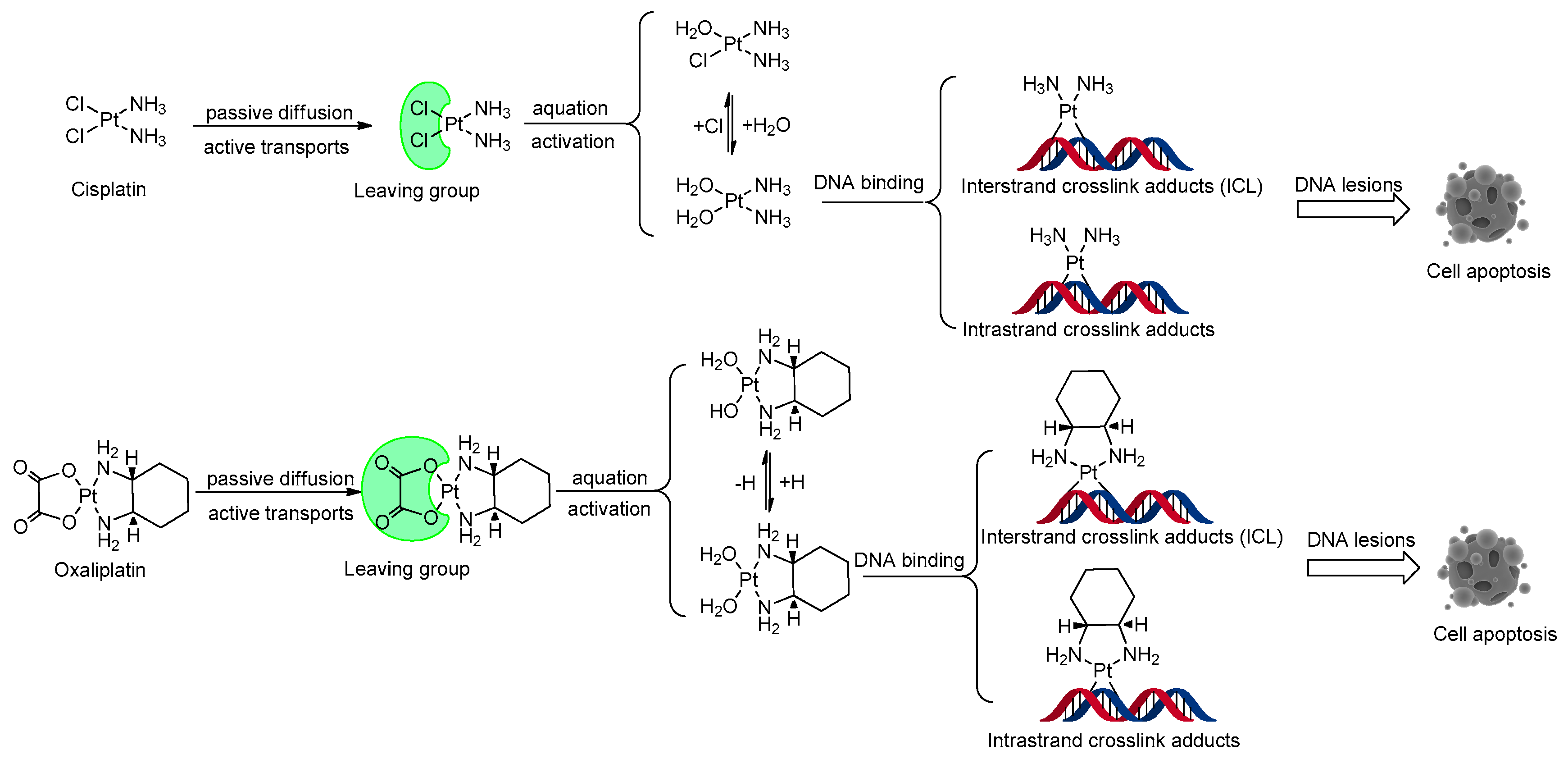 Molecules 29 00746 g002 Molecules 29 00746 g002