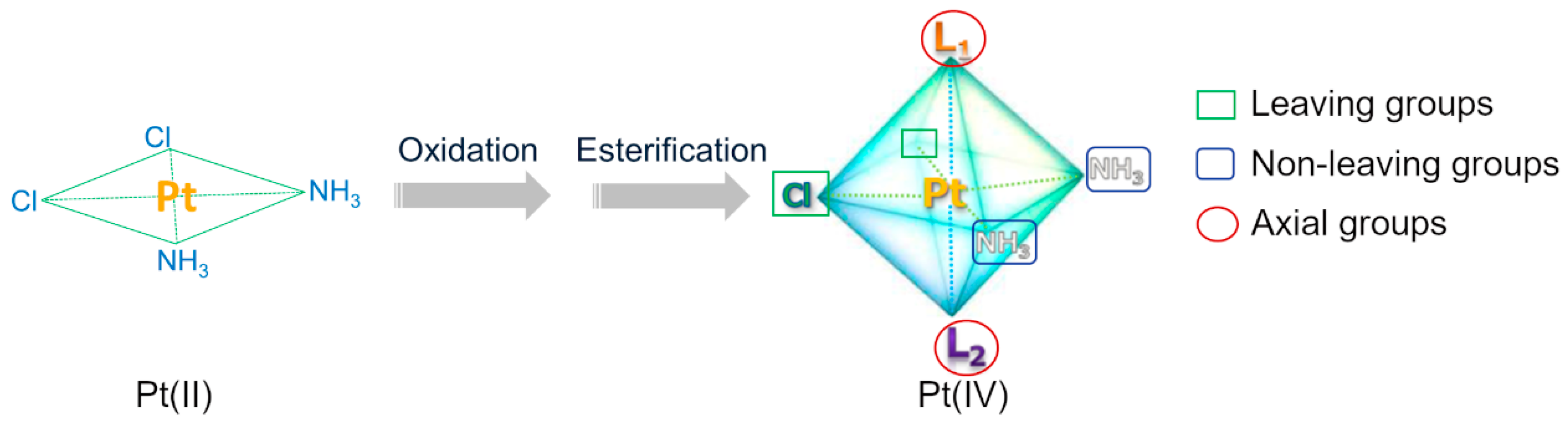 Molecules 29 00746 g004 Molecules 29 00746 g004